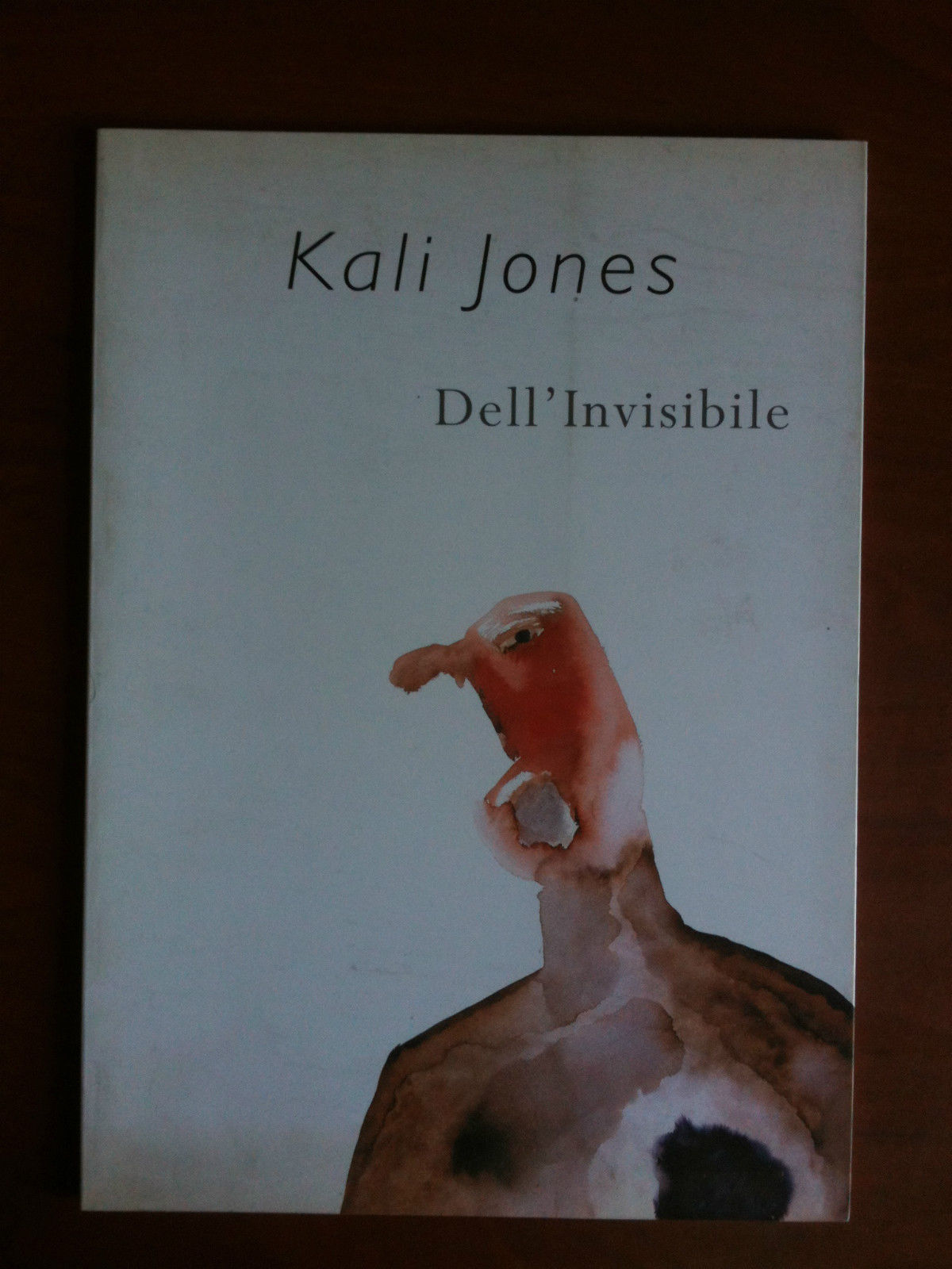 Catalogo delle opere di Kali Jones Dell'Invisibile 2002