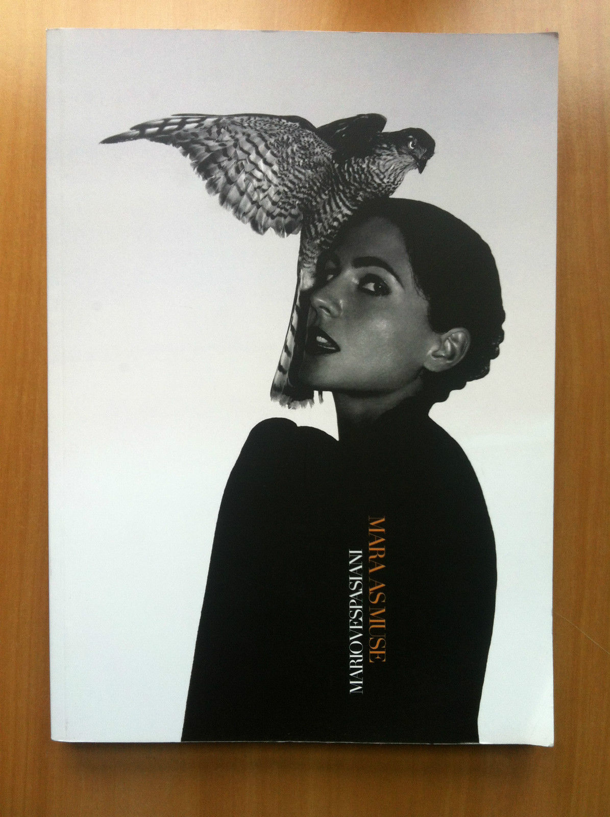 Catalogo delle opere di Mario Vespasiani Mara as Muse Arti …