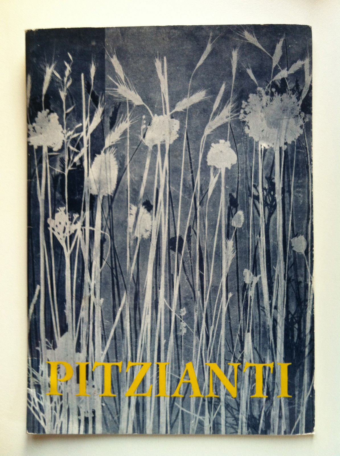 Catalogo mostra di Paola Pitzianti Galleria L'Arte Antica Torino 1975 …