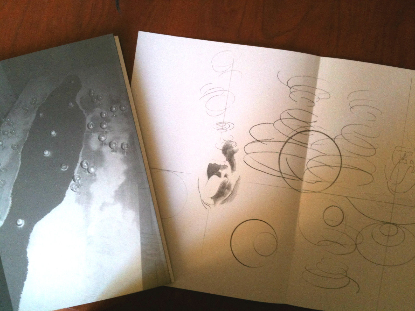 Catalogo opere Radu Dragomirescu Disegni 1993