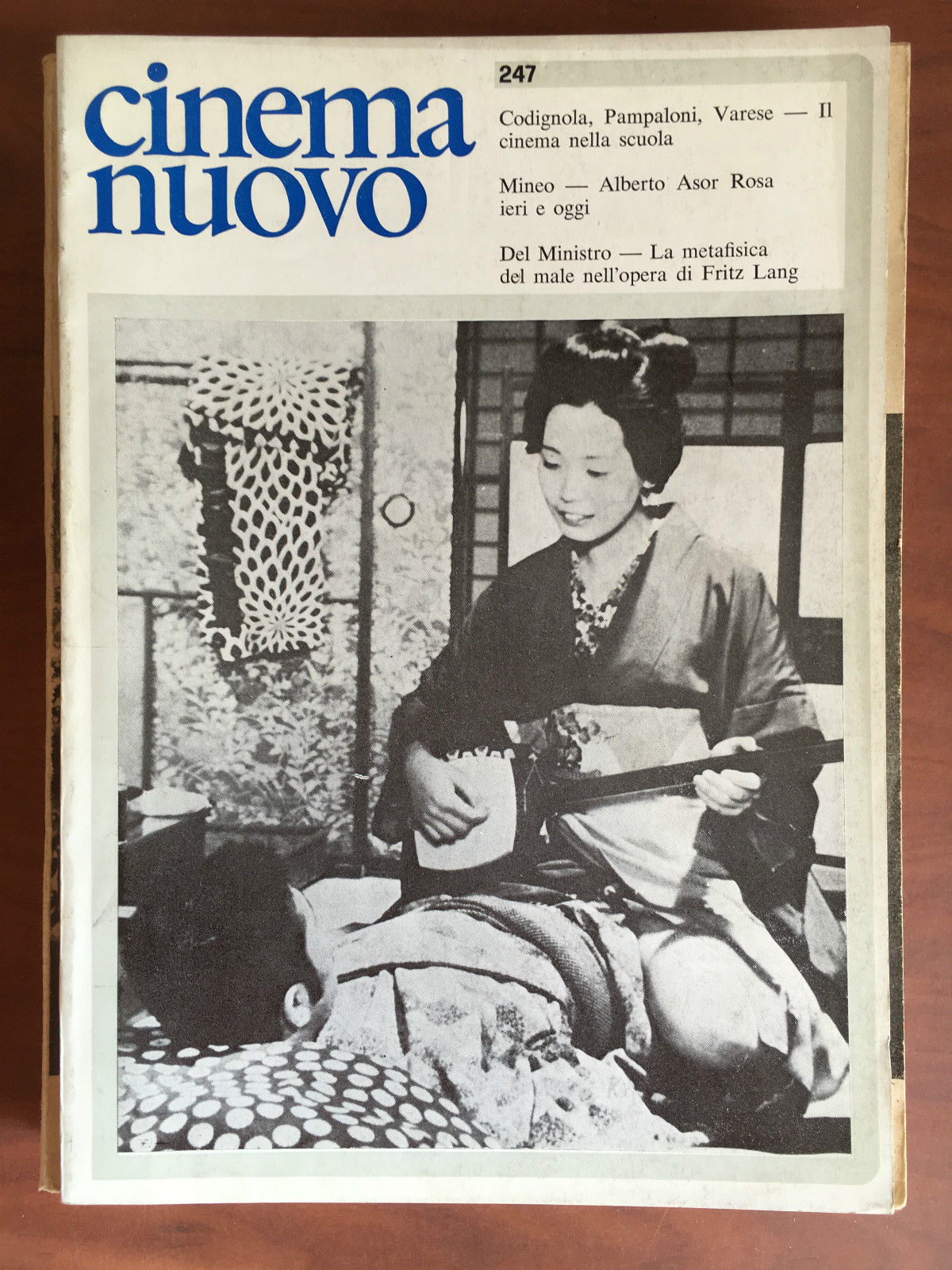 Cinema Nuovo n^ 247 Maggio Giugno 1977 - E20460