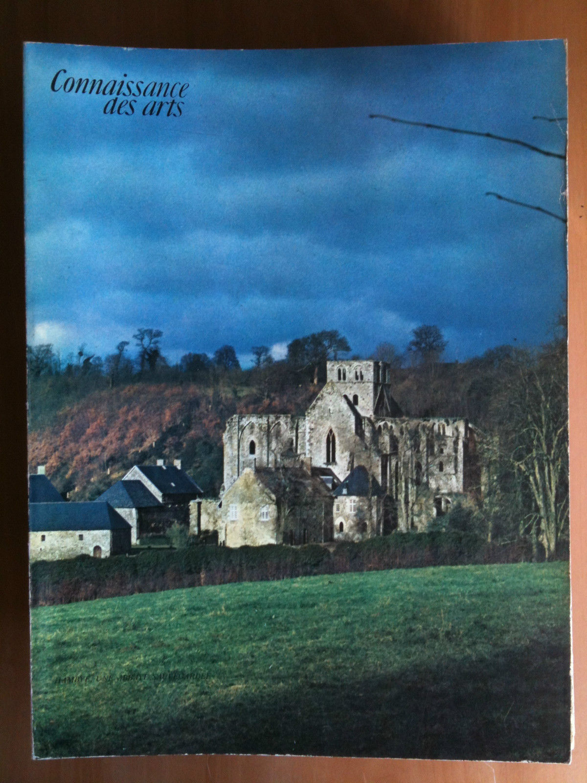 Connaissance des arts n^ 193 mars 1968