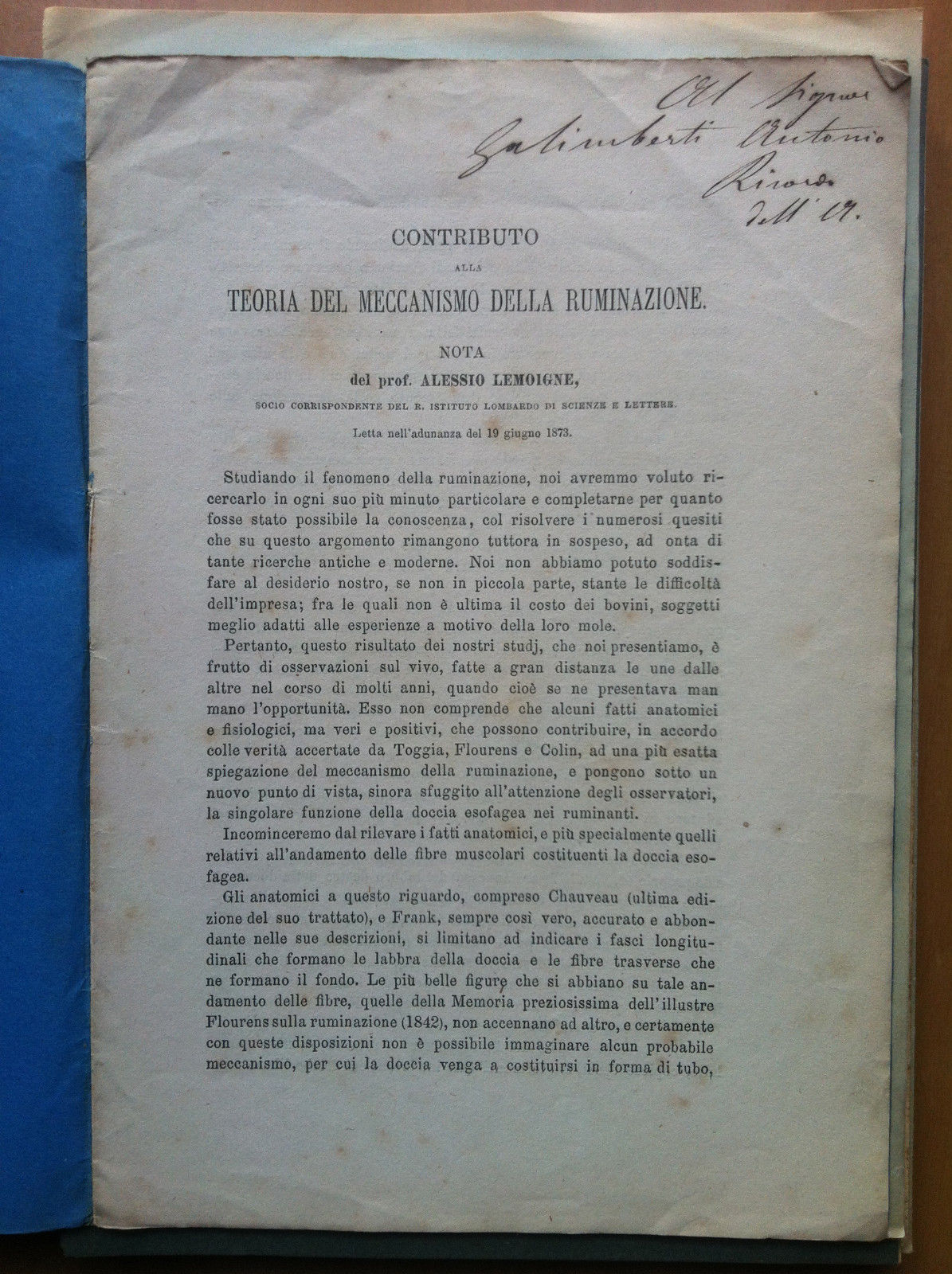 Contributo alla teoria della ruminazione Prof. Alessio Lemoigne 1873 - …