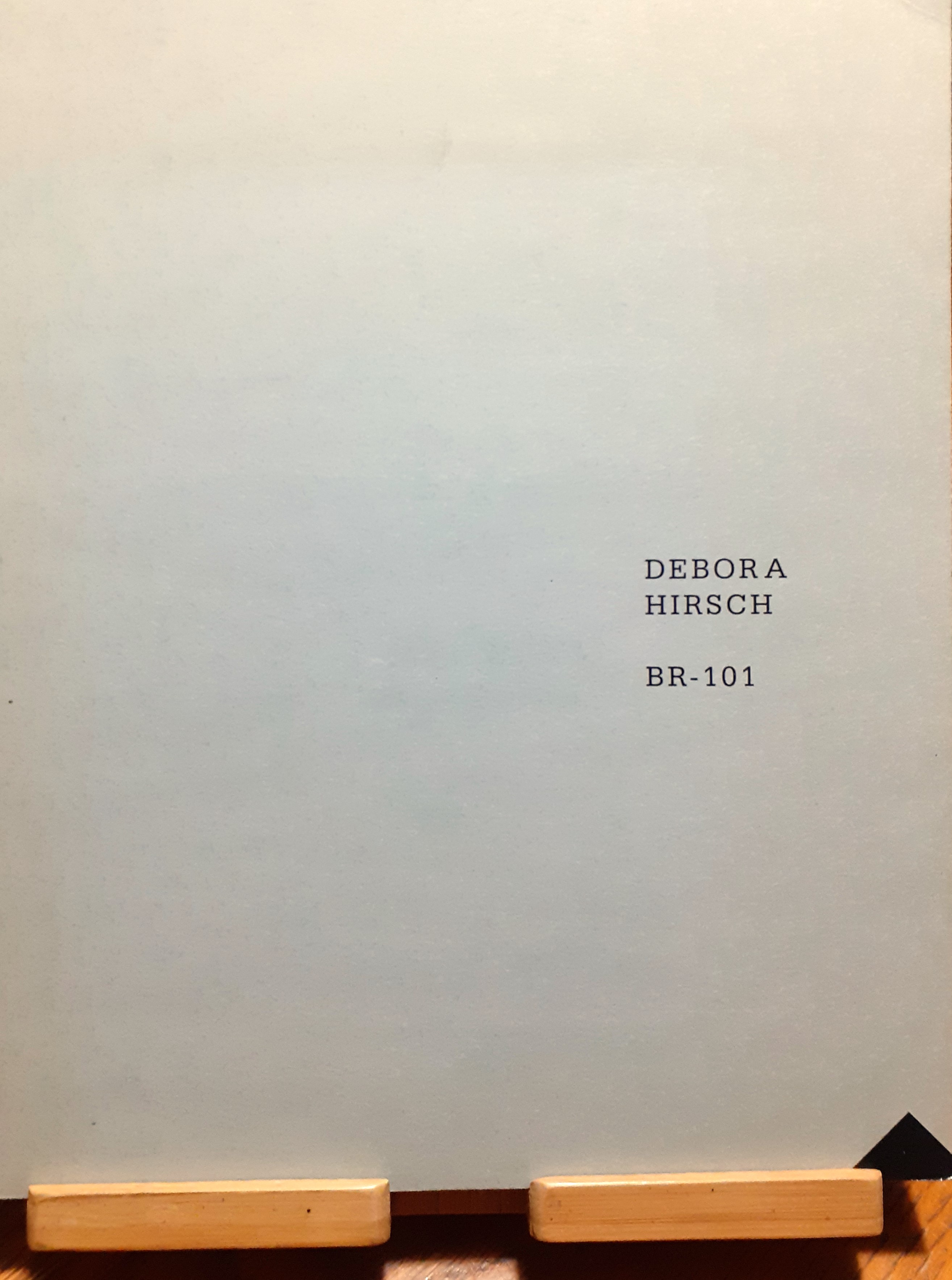 Debora Hirsch. BR-101
