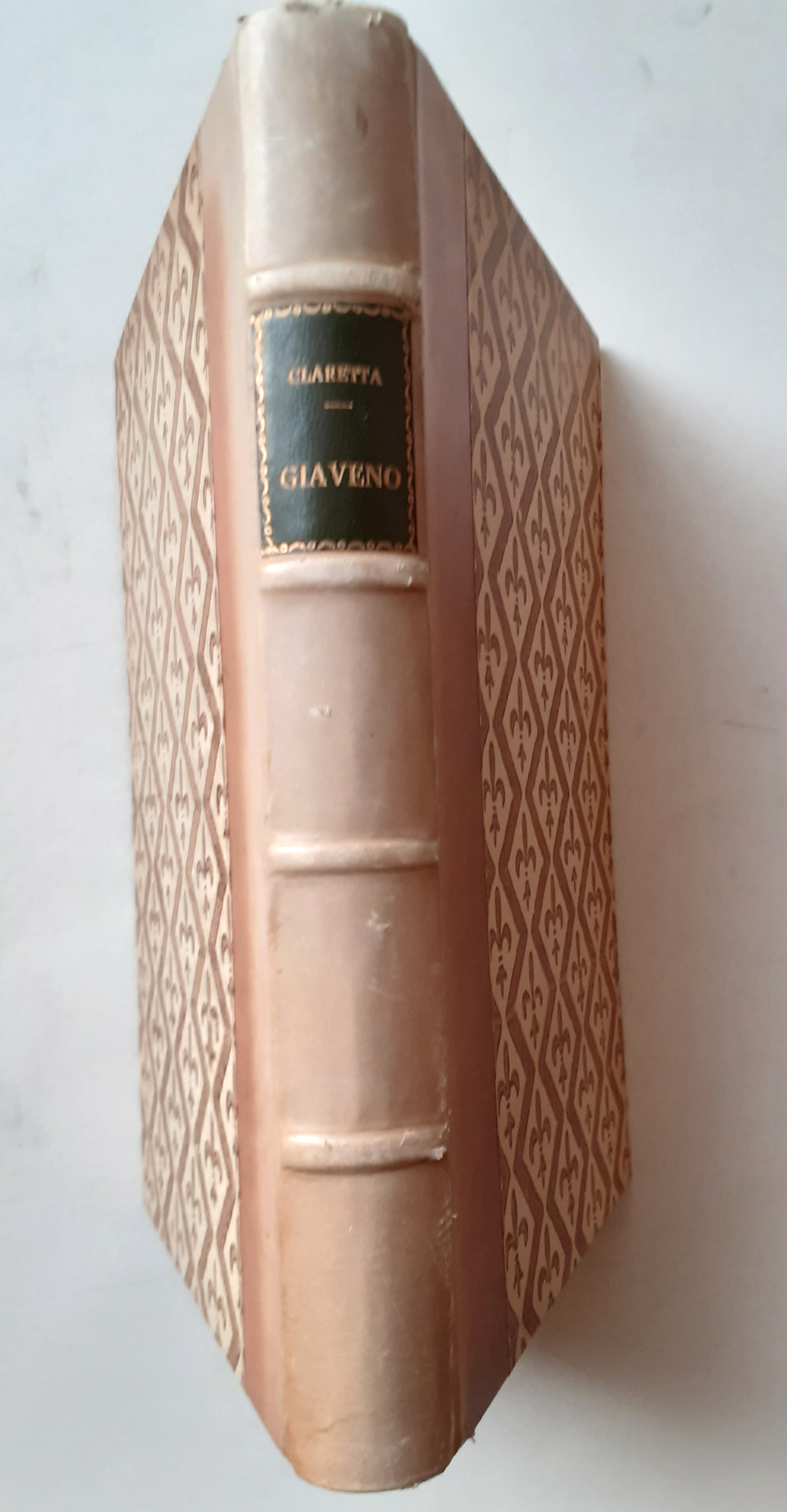 Di Giaveno Coazze e Valgioie Cenni storici, anastatica Bottega d'Erasmo …