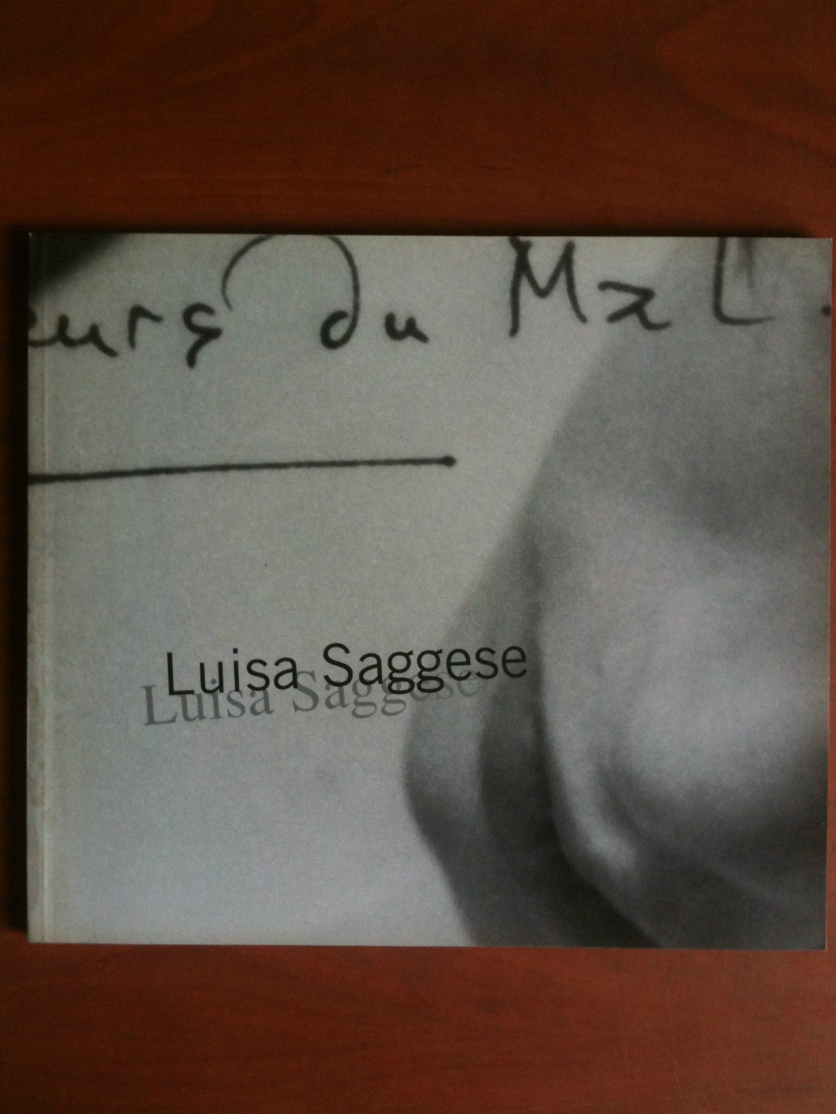 Diario fotografico dedicato alla memoria di Luisa Saggese FIF 2002 …