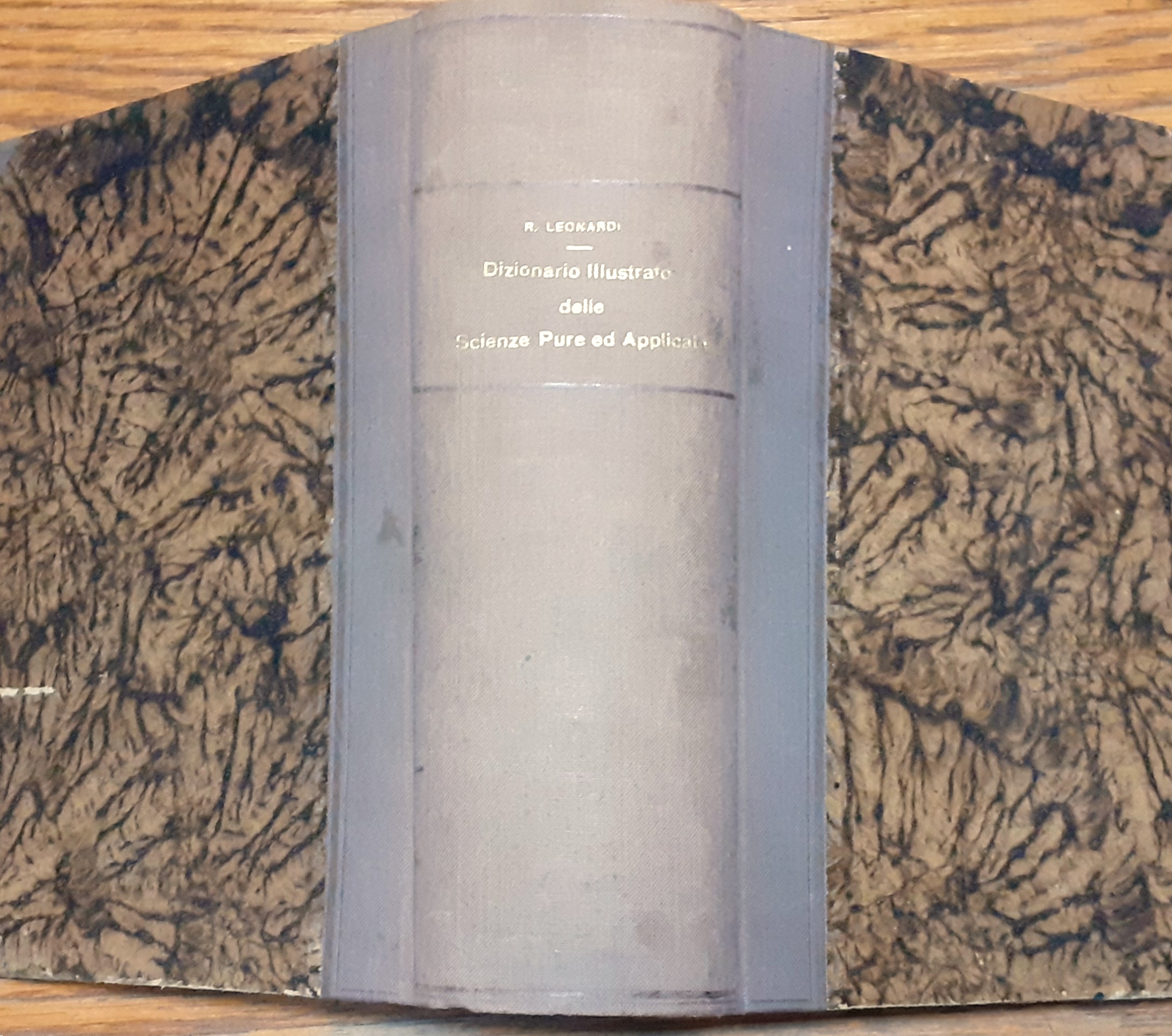 Dizionario illustrato delle scienze pure e applicate (2 voll.)