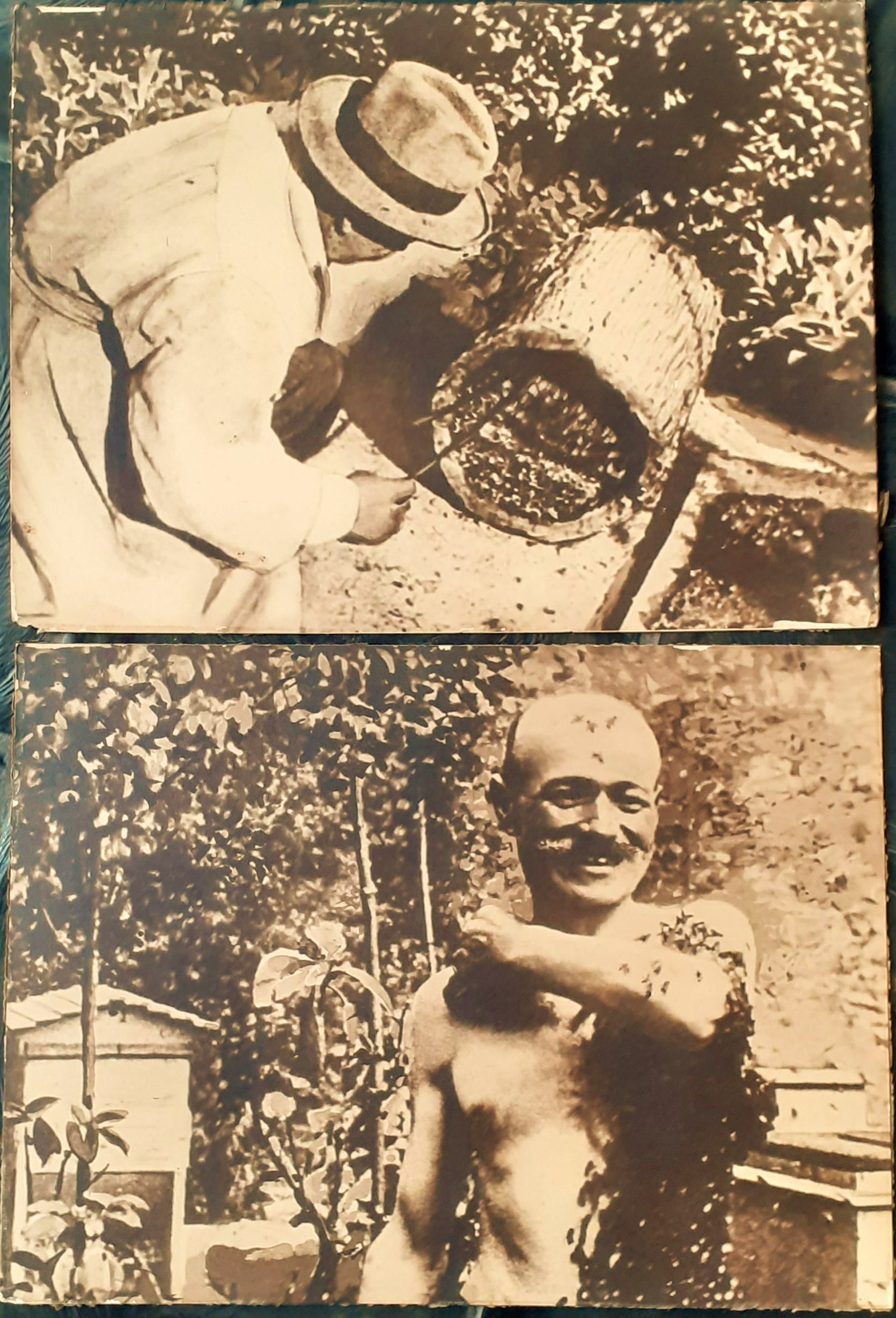 Due ingrandimenti fotografici Apicultori