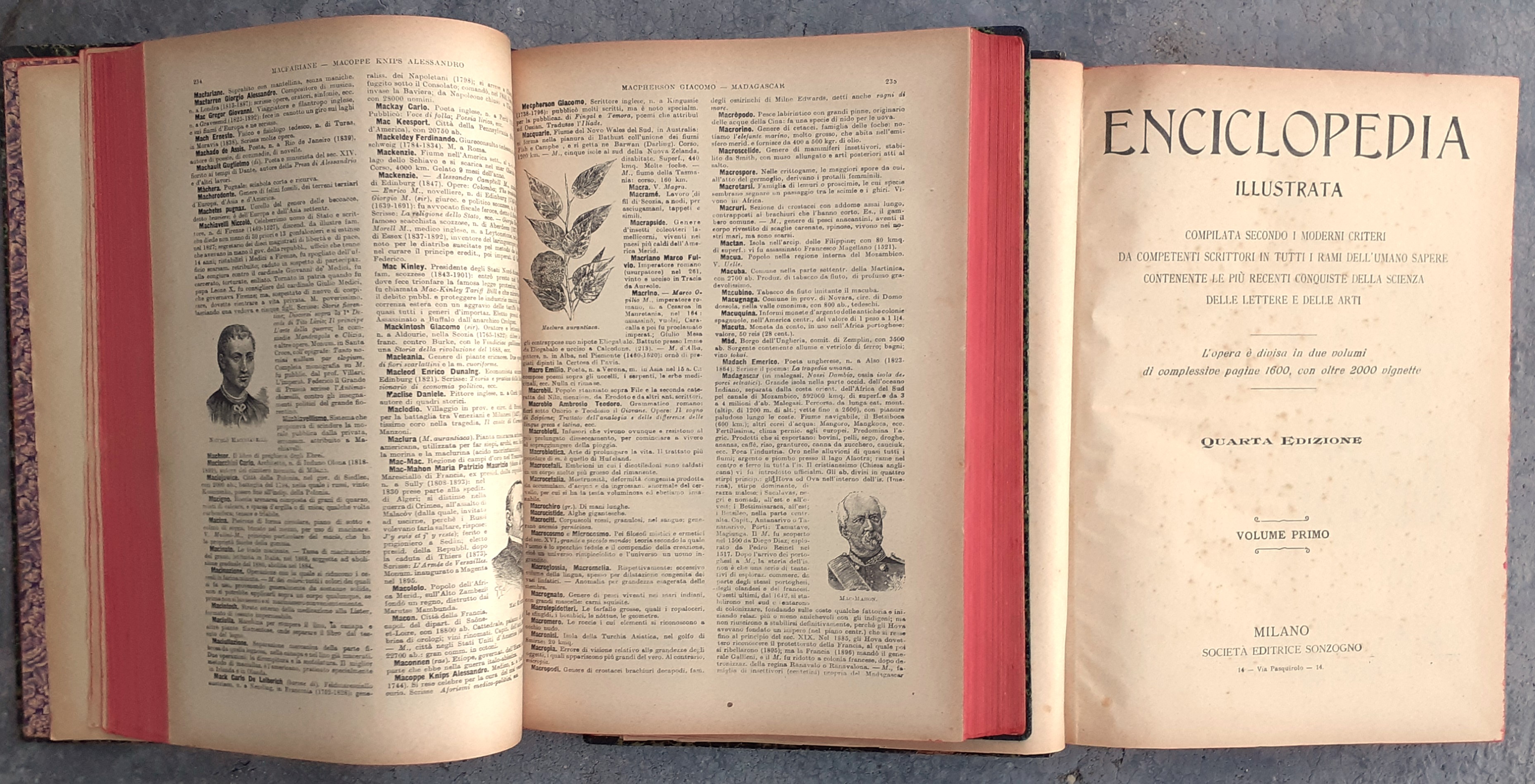 Enciclopedia illustrata/Enciclopedia popolare illustrata. Compilata secondo i moderni criteri da …