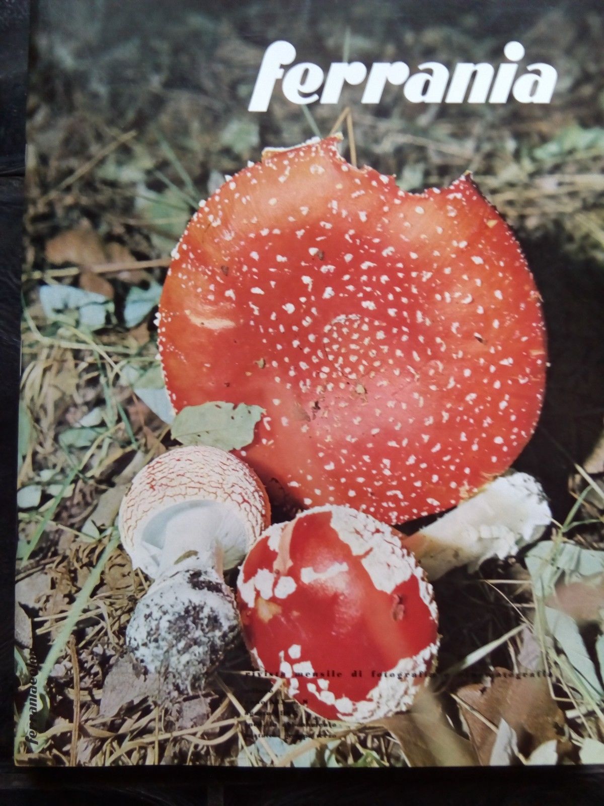 Ferrania Anno XIX n^ 8 agosto 1965 Cover: Ezio Ferrari