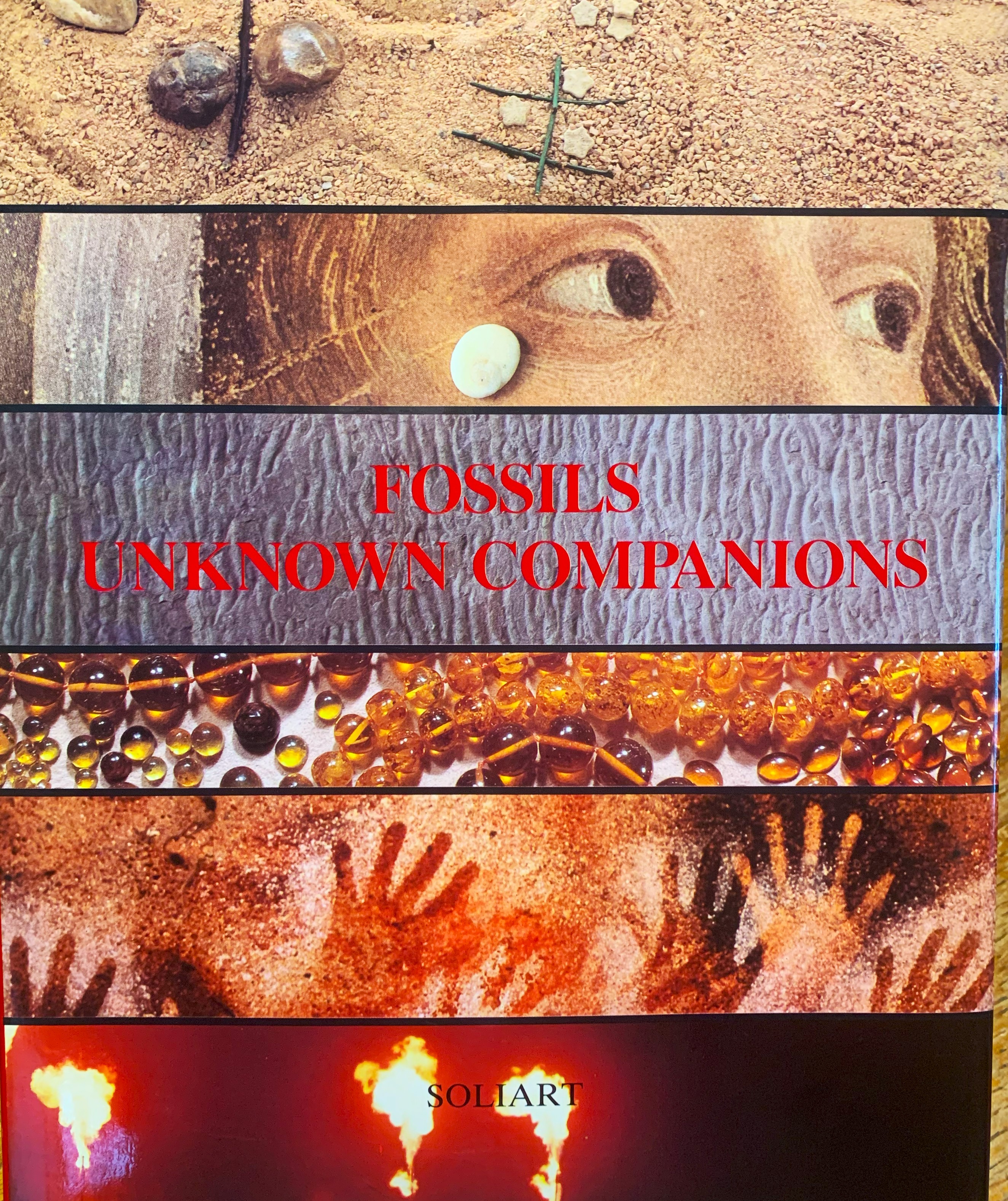 Fossils. Unknown Companions