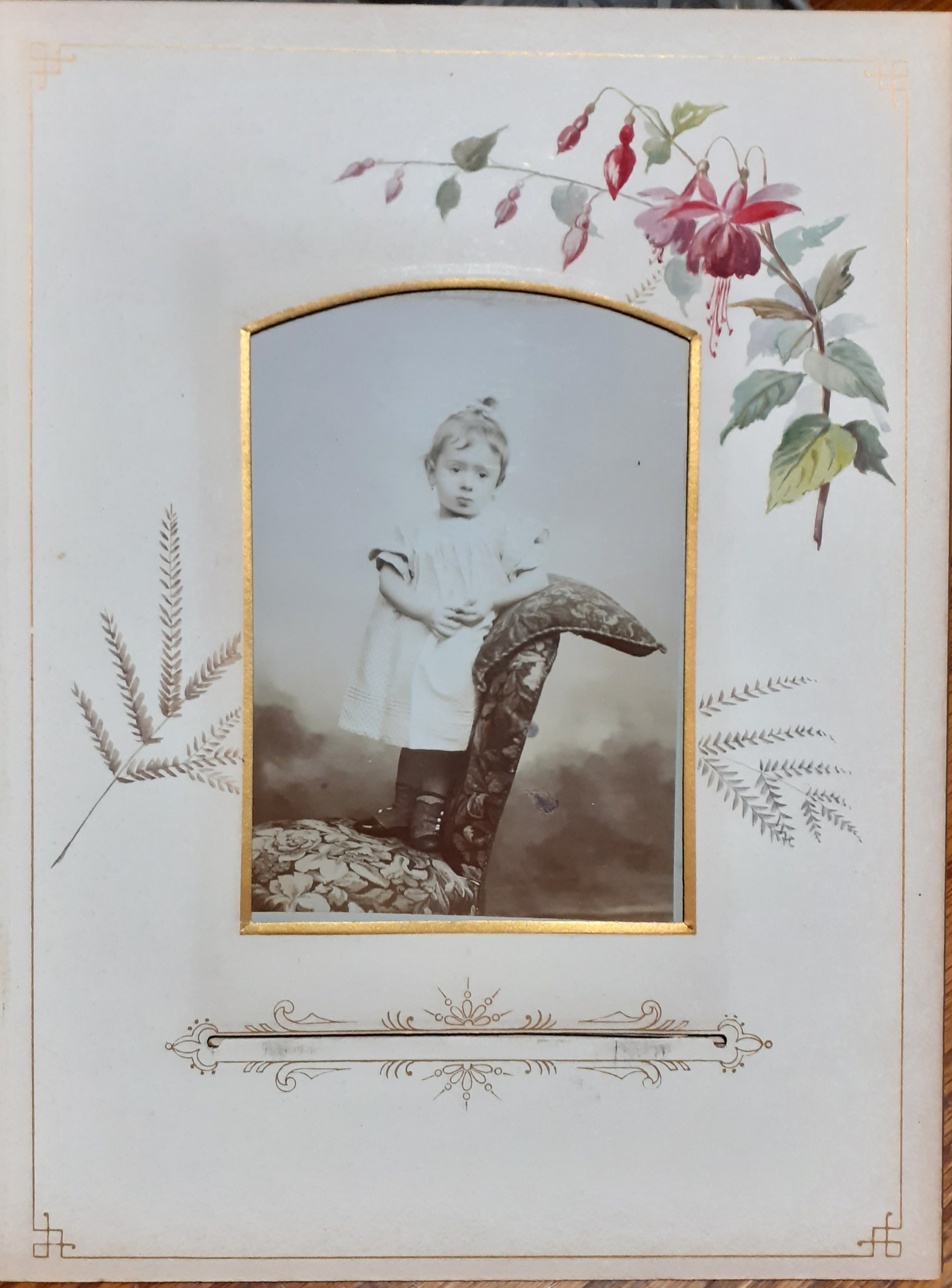 fotografia all'albumina Bosco &amp; Bricca Torino 1890 circa