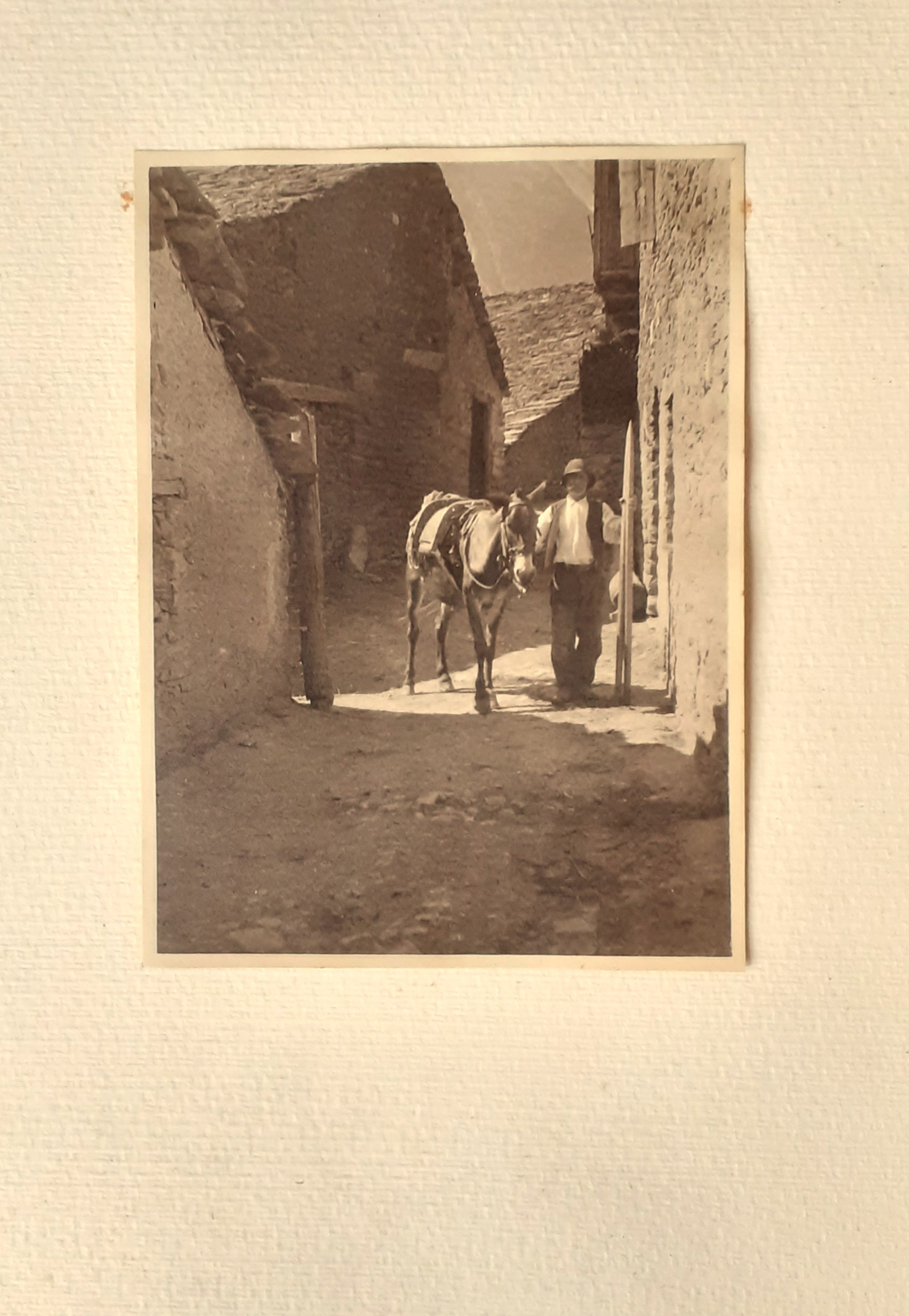 Fotografia originale anni '30 Montagna Piemonte uomo con mulo E21510