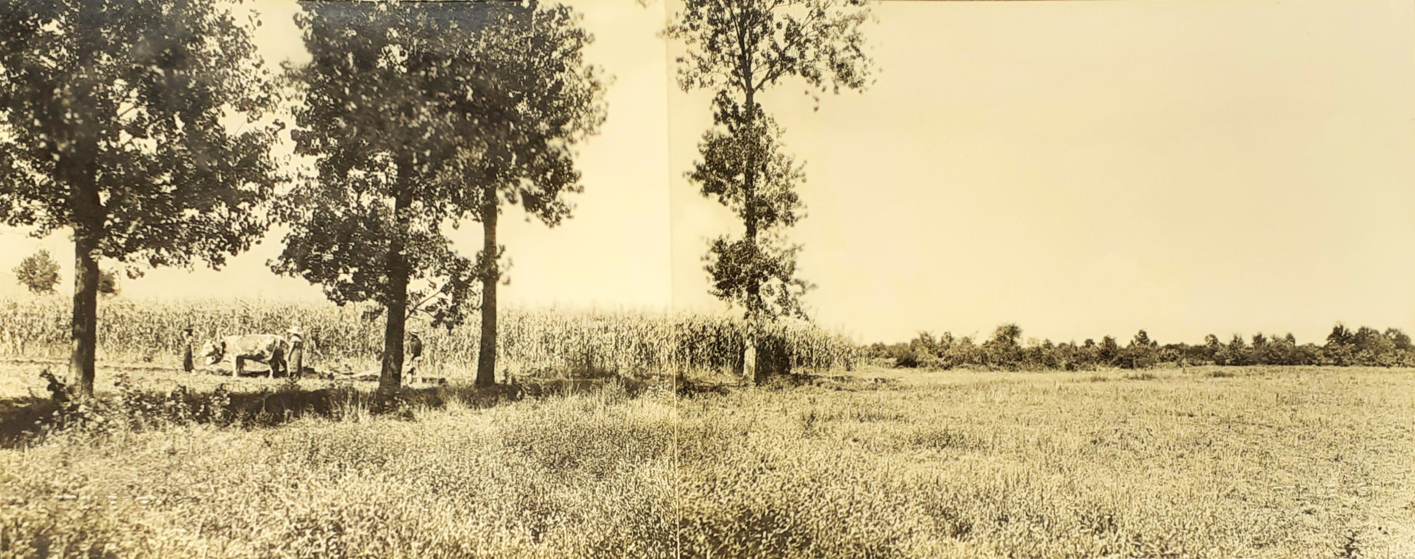 Fotografia originale anni '30 Ottolenghi "Campagna Torinese" - E11743