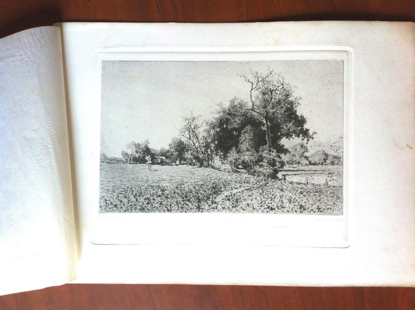 Fotoincisione originale 1894 Dipinto C. Follini Fotoinc. Schiapparelli