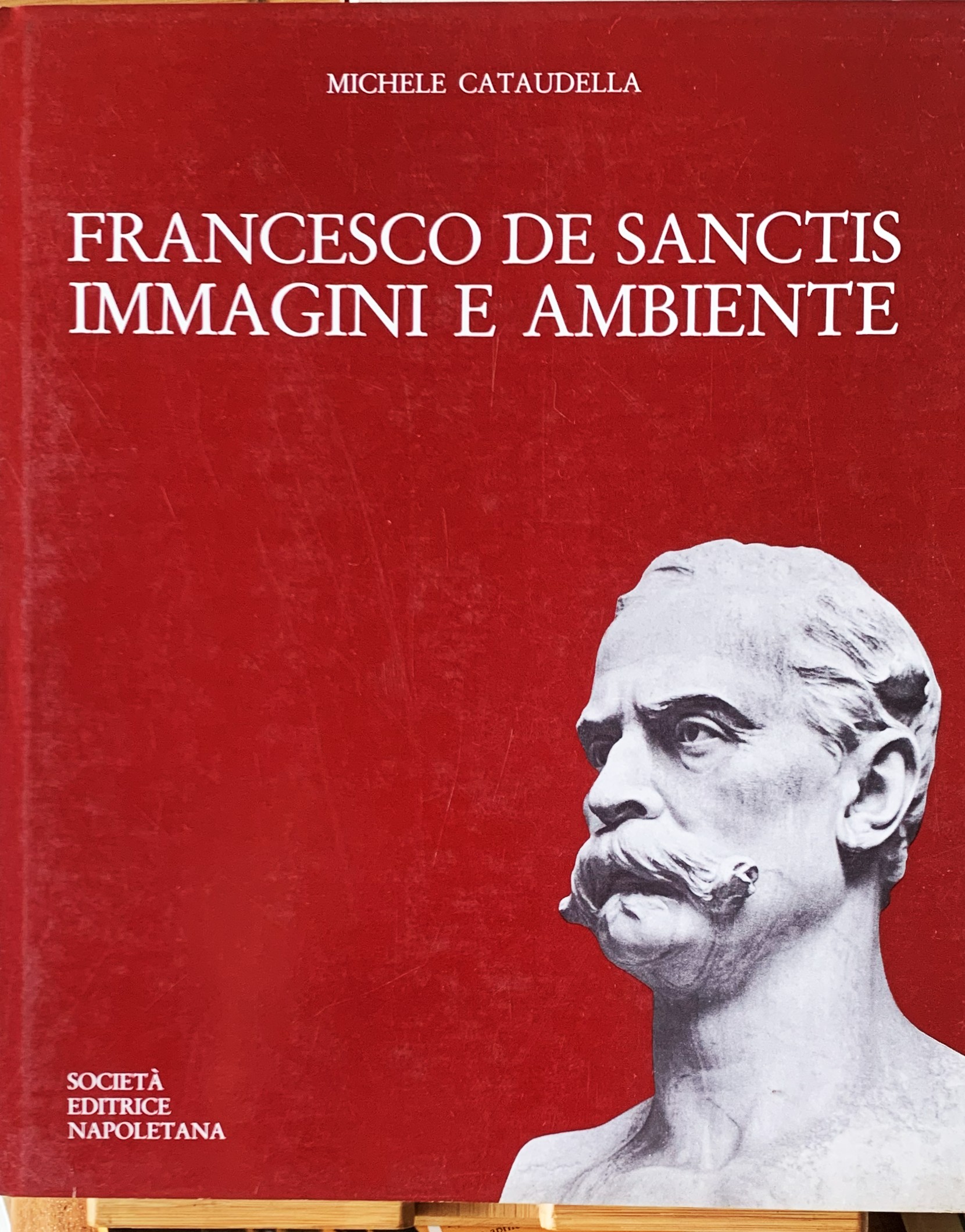 Francesco de Sanctis. Immagini e ambiente
