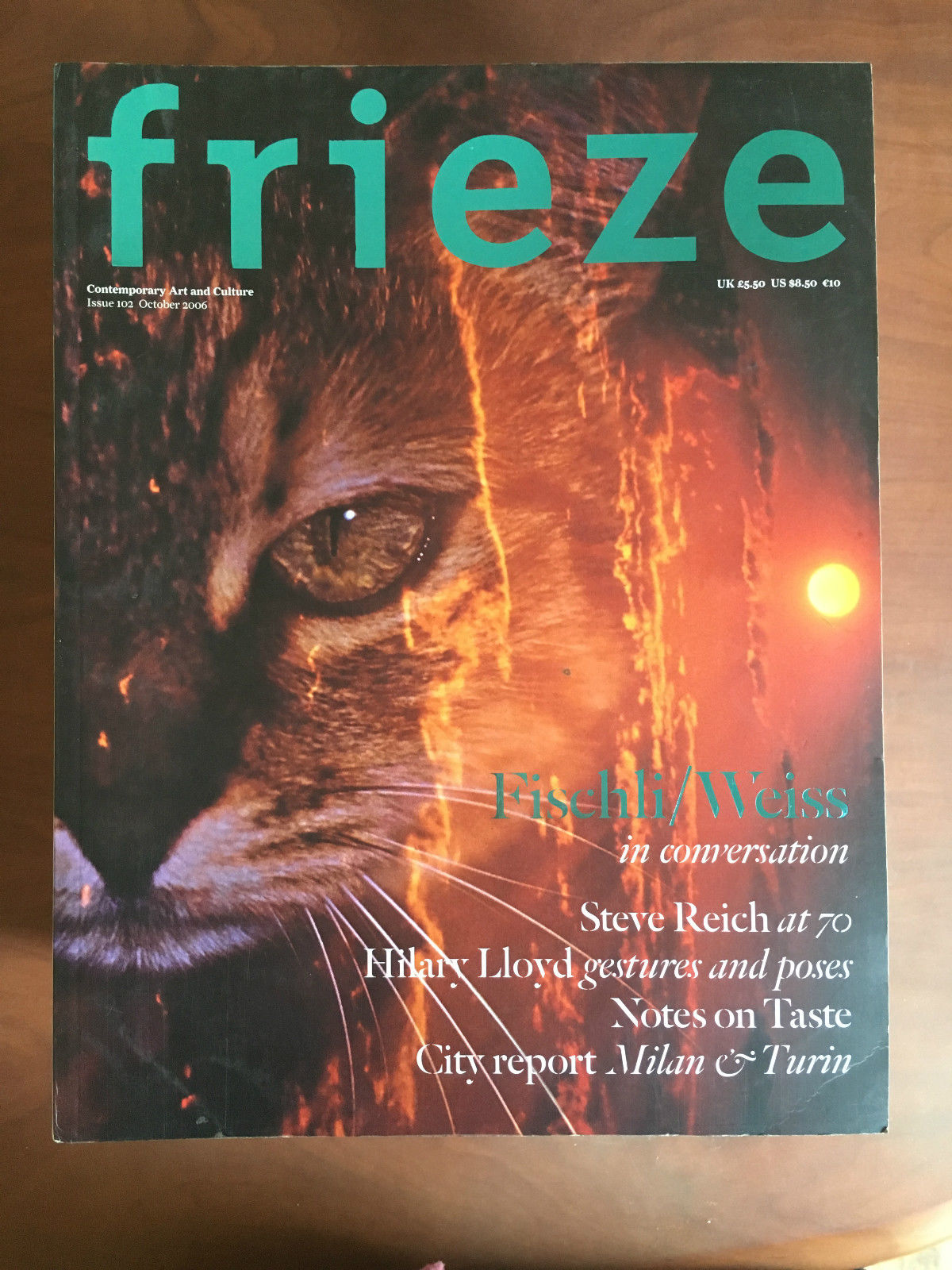 Frieze n^ 102 October 2006 Cover: Peter Fischli - E21611