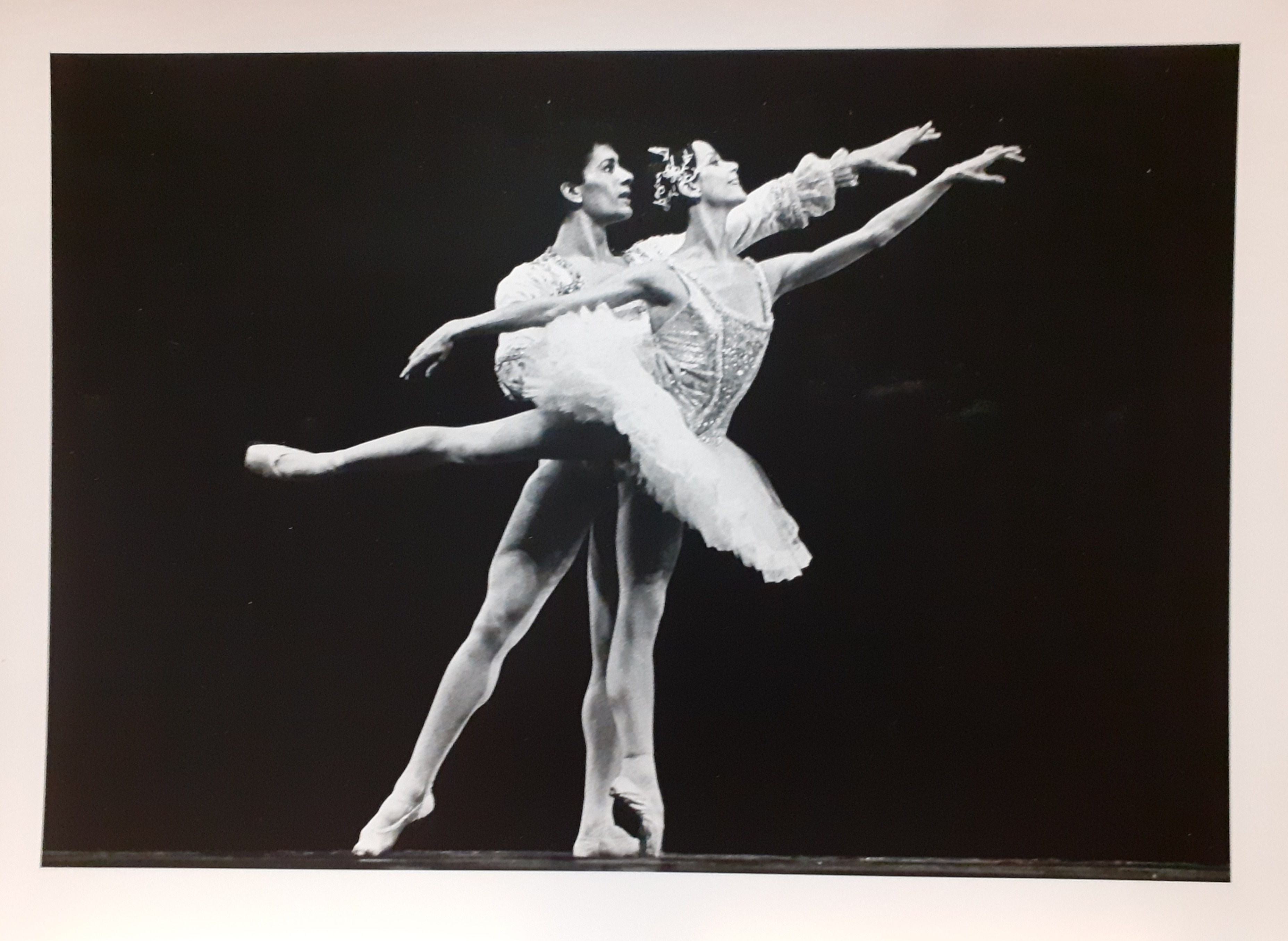 Gabriella Cohen con Raffaele Paganini fotografia originale di Davide Peterle