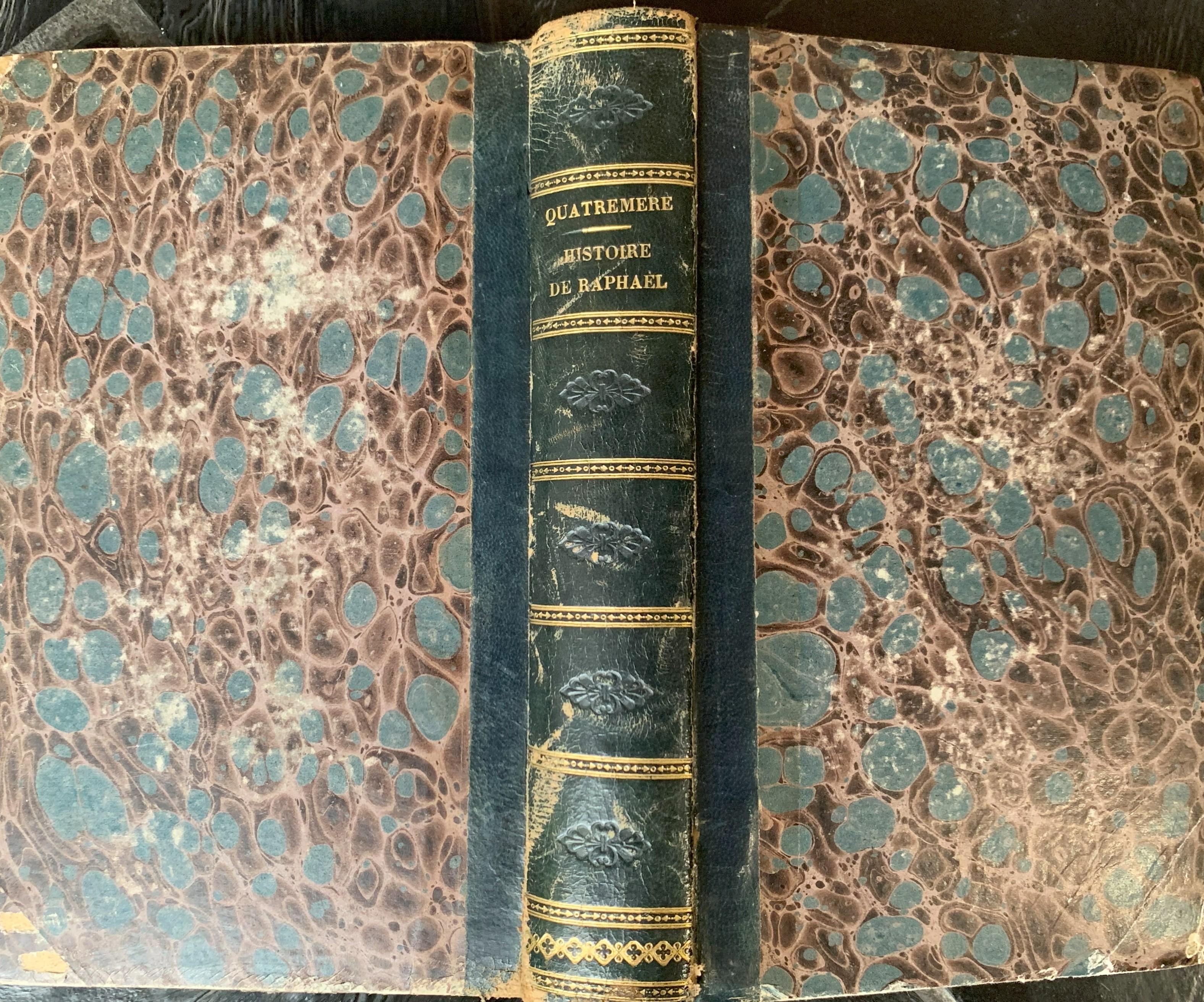 Histoire de la vie et des ouvrages de Raphaël