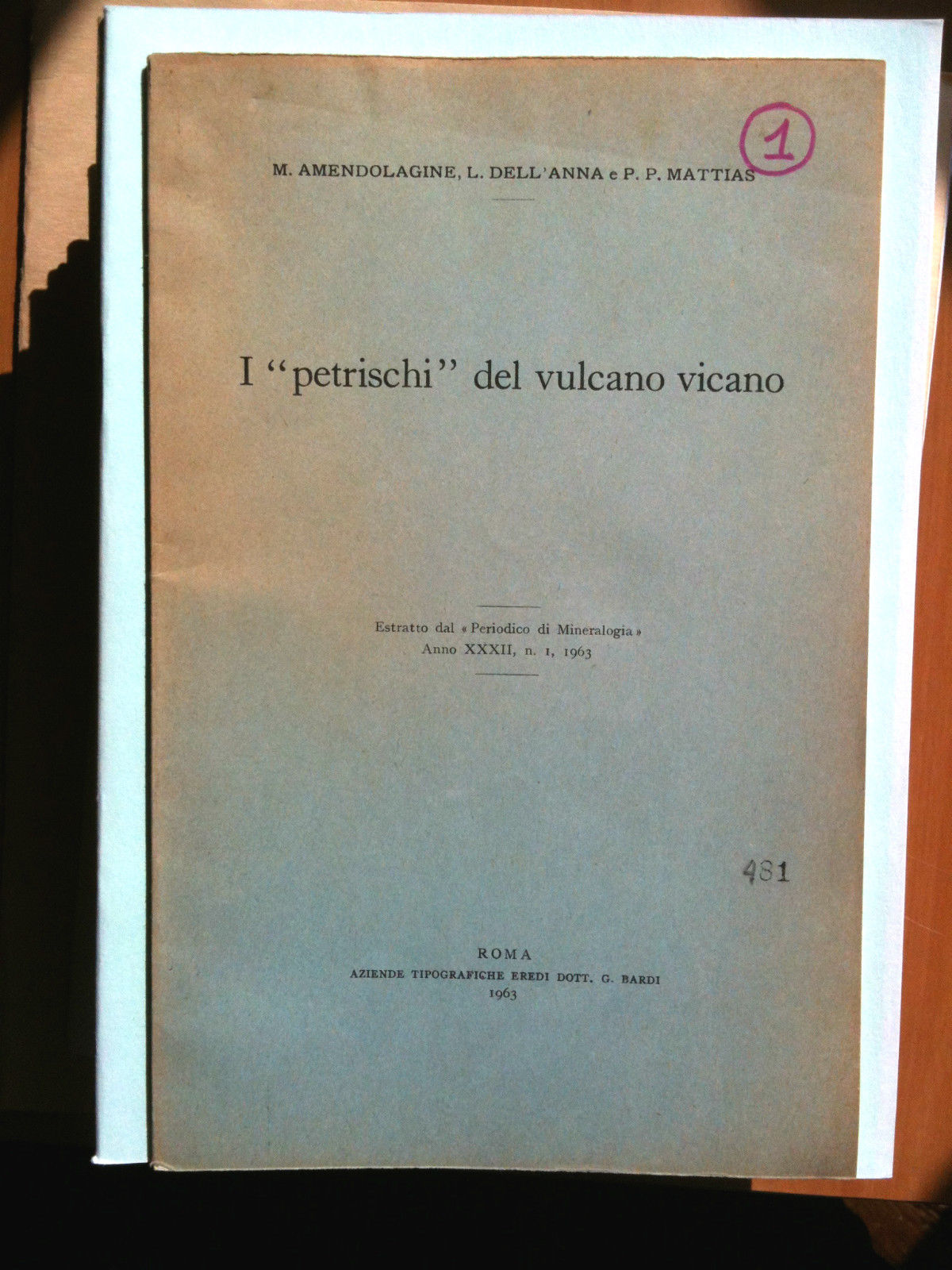 I "petrischi" del vulcano vicano 1963