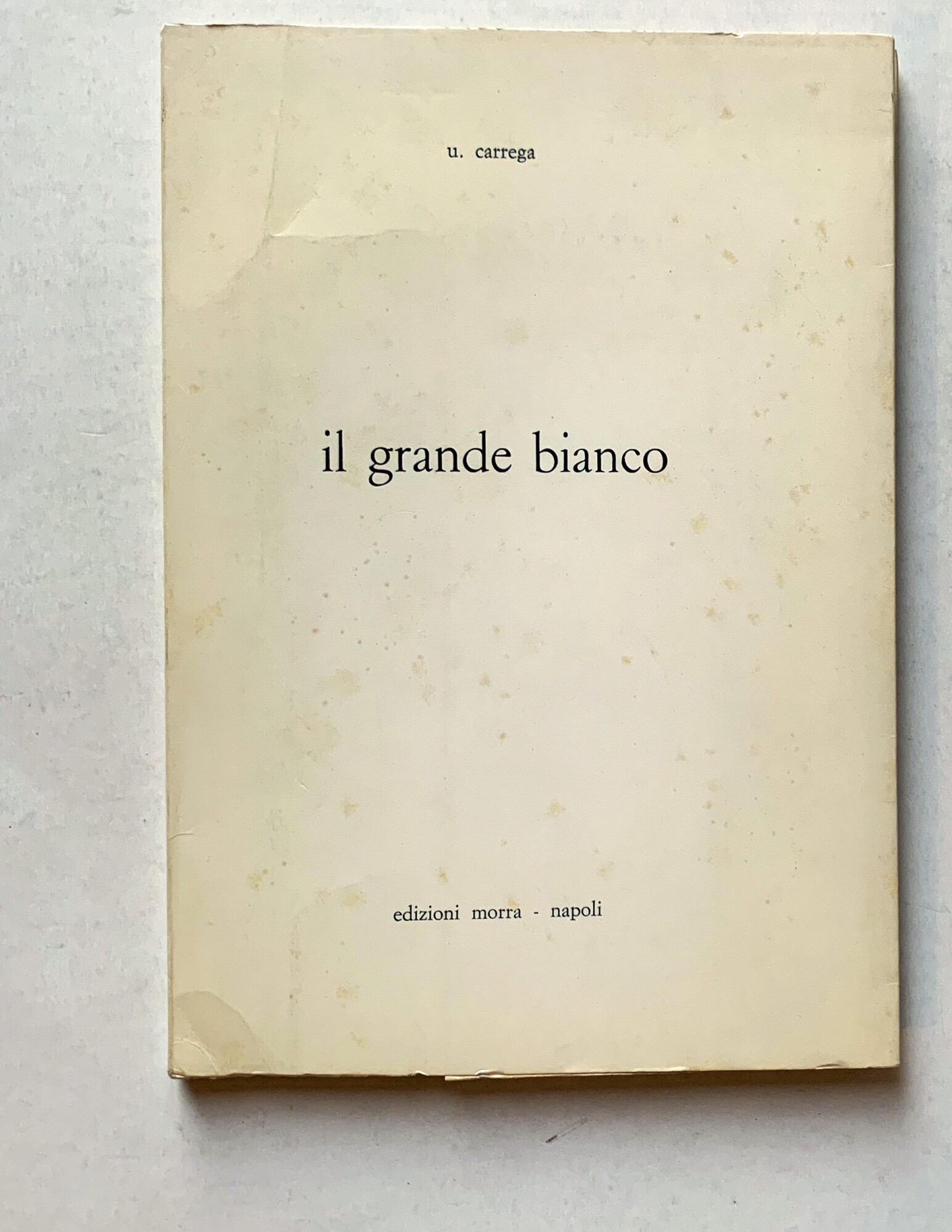 il grande bianco