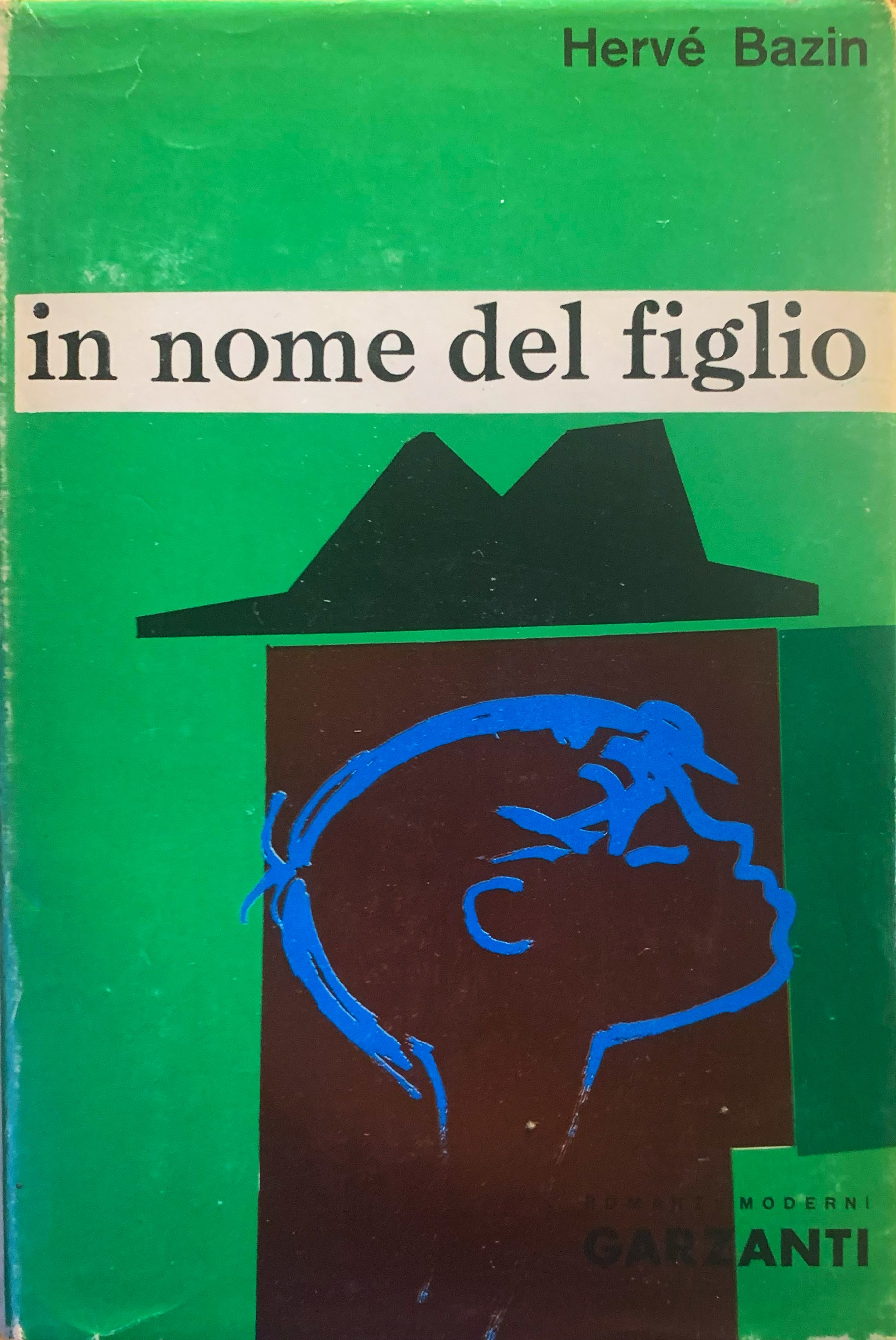 In nome del figlio. Romanzo