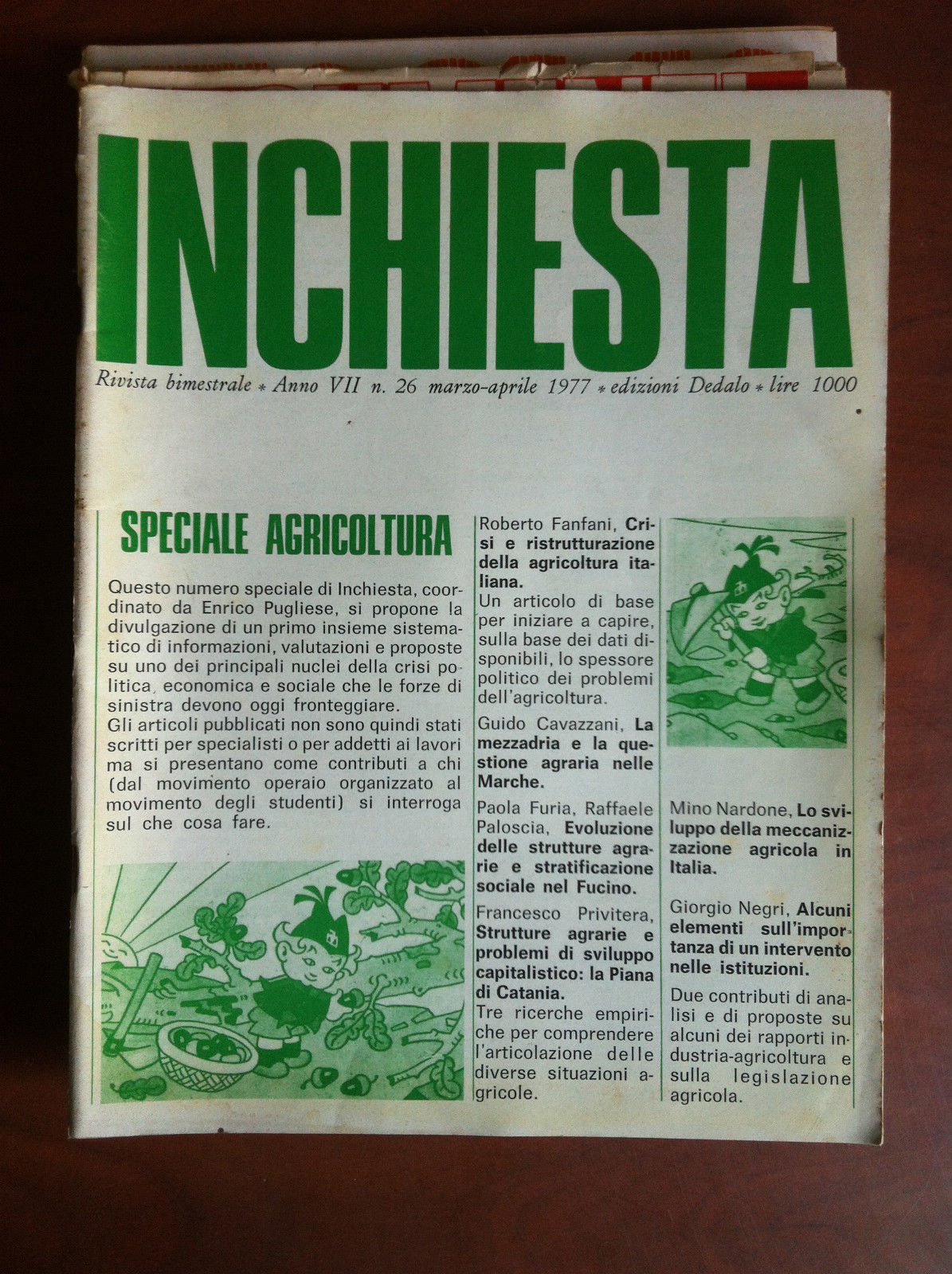 Inchiesta Anno VII n^ 26 Marzo-Aprile 1977 - E11906