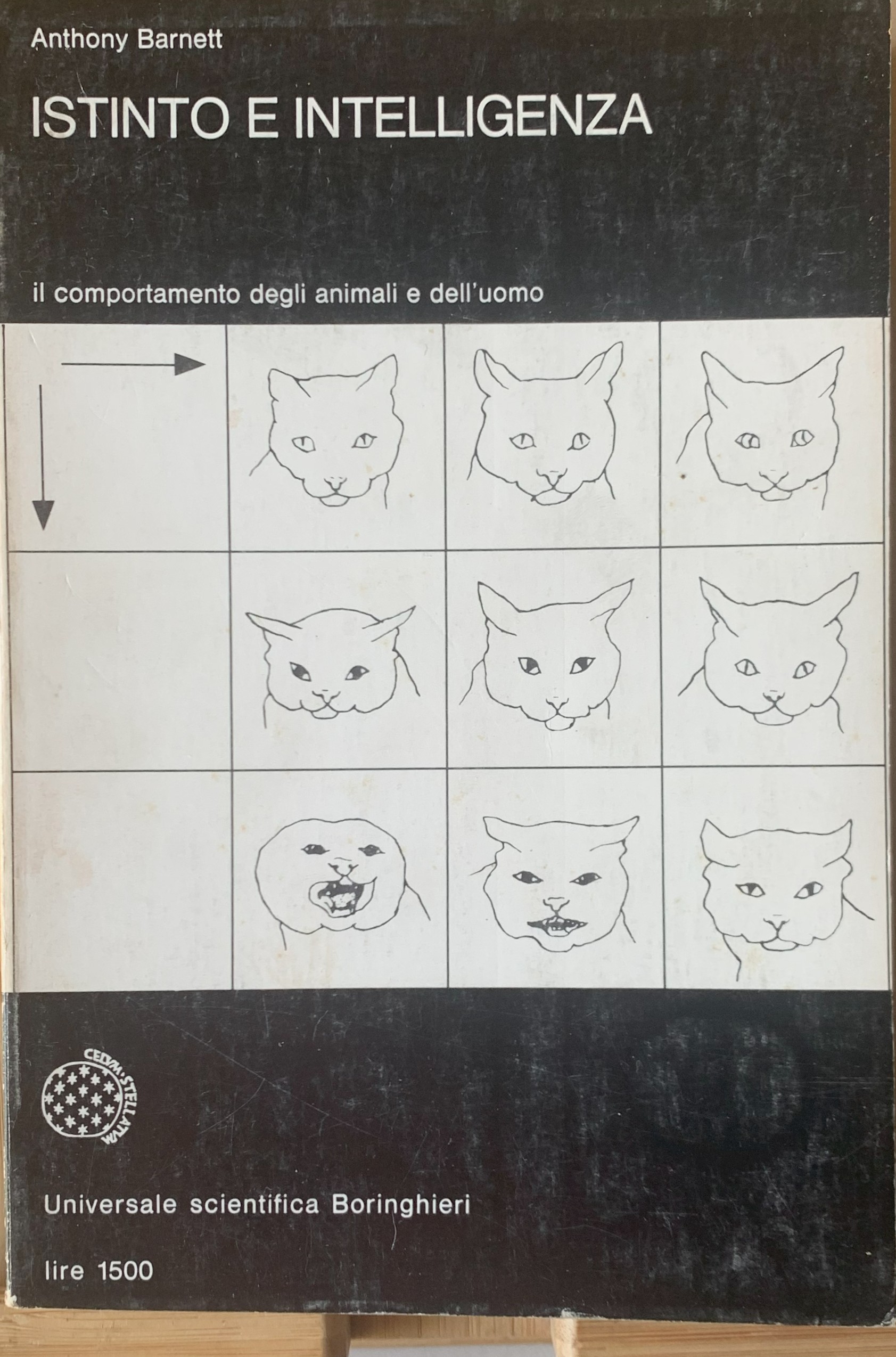 ISTINTO E INTELLIGENZA