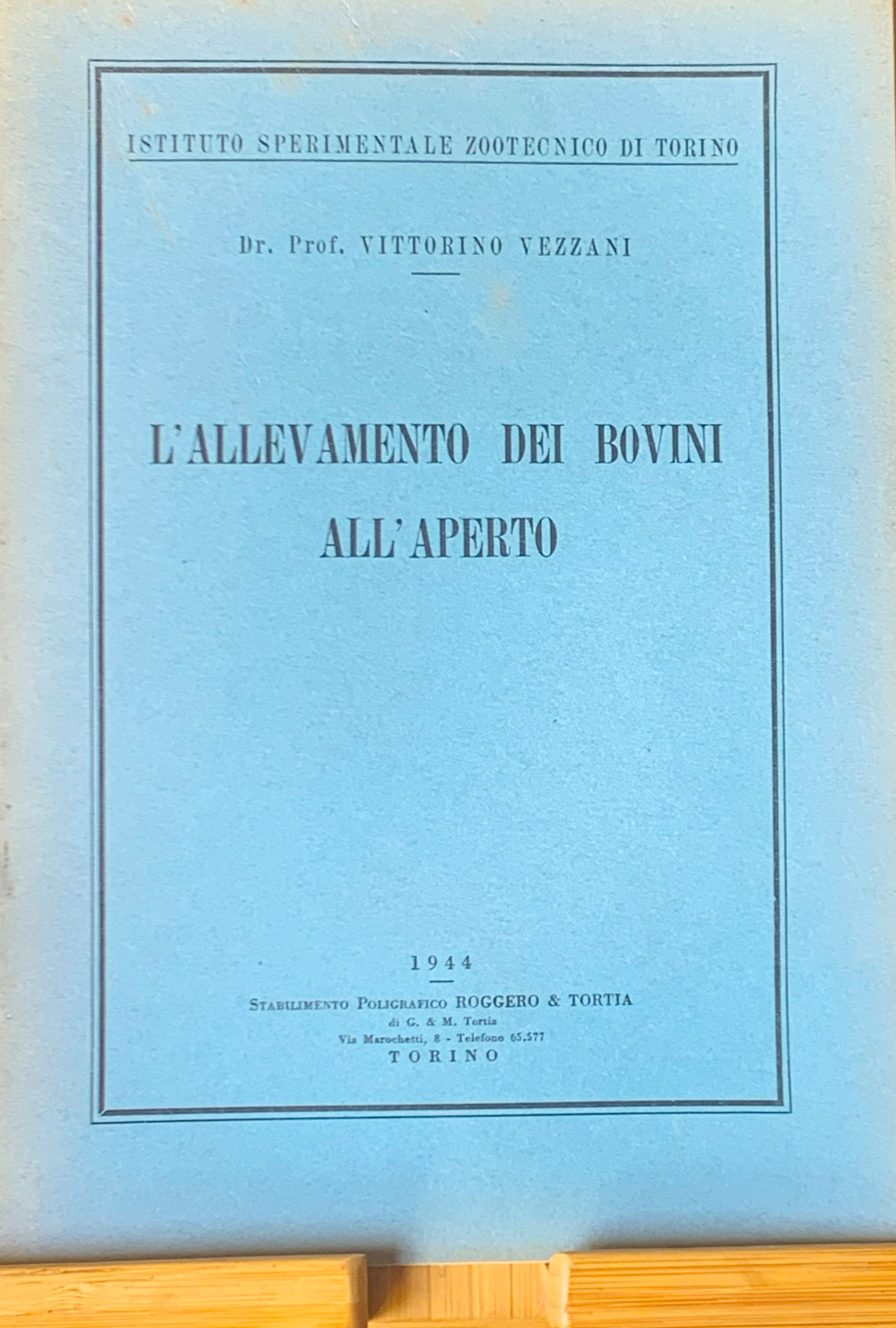 L'allevamento bovini all'aperto
