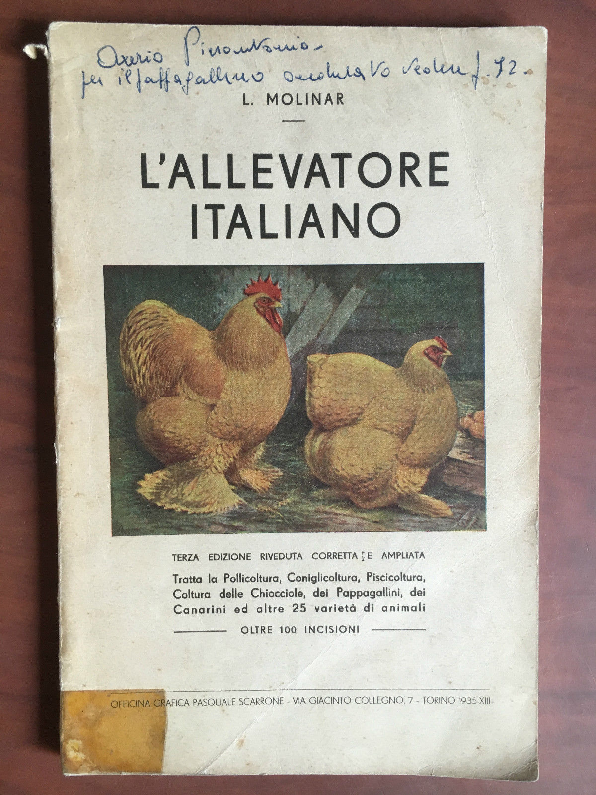 L'allevatore italiano L. Molinar Officina Grafica Scarrone Torino 1935 - …
