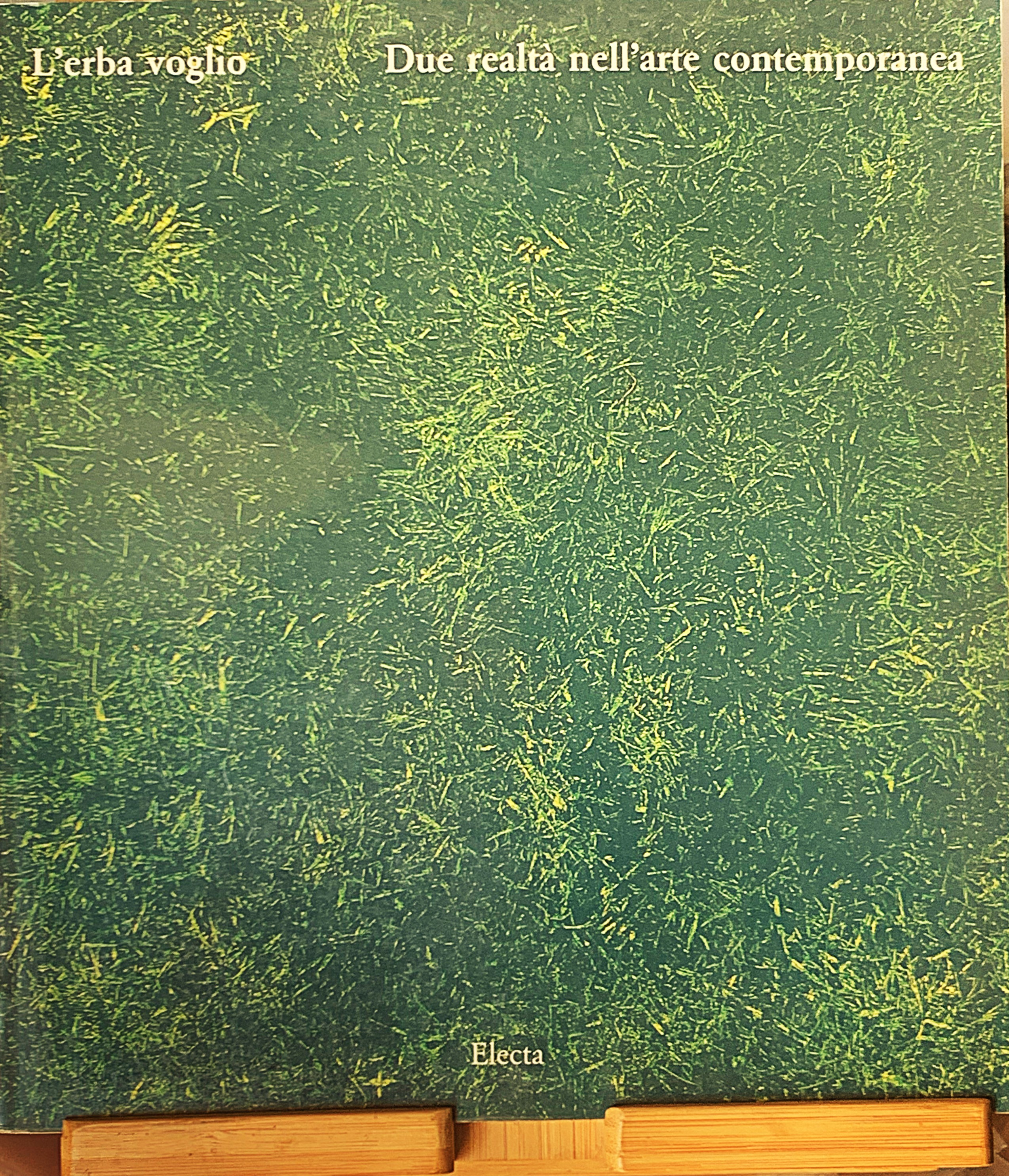 L'erba voglio. Due realtà nell'arte contemporanea