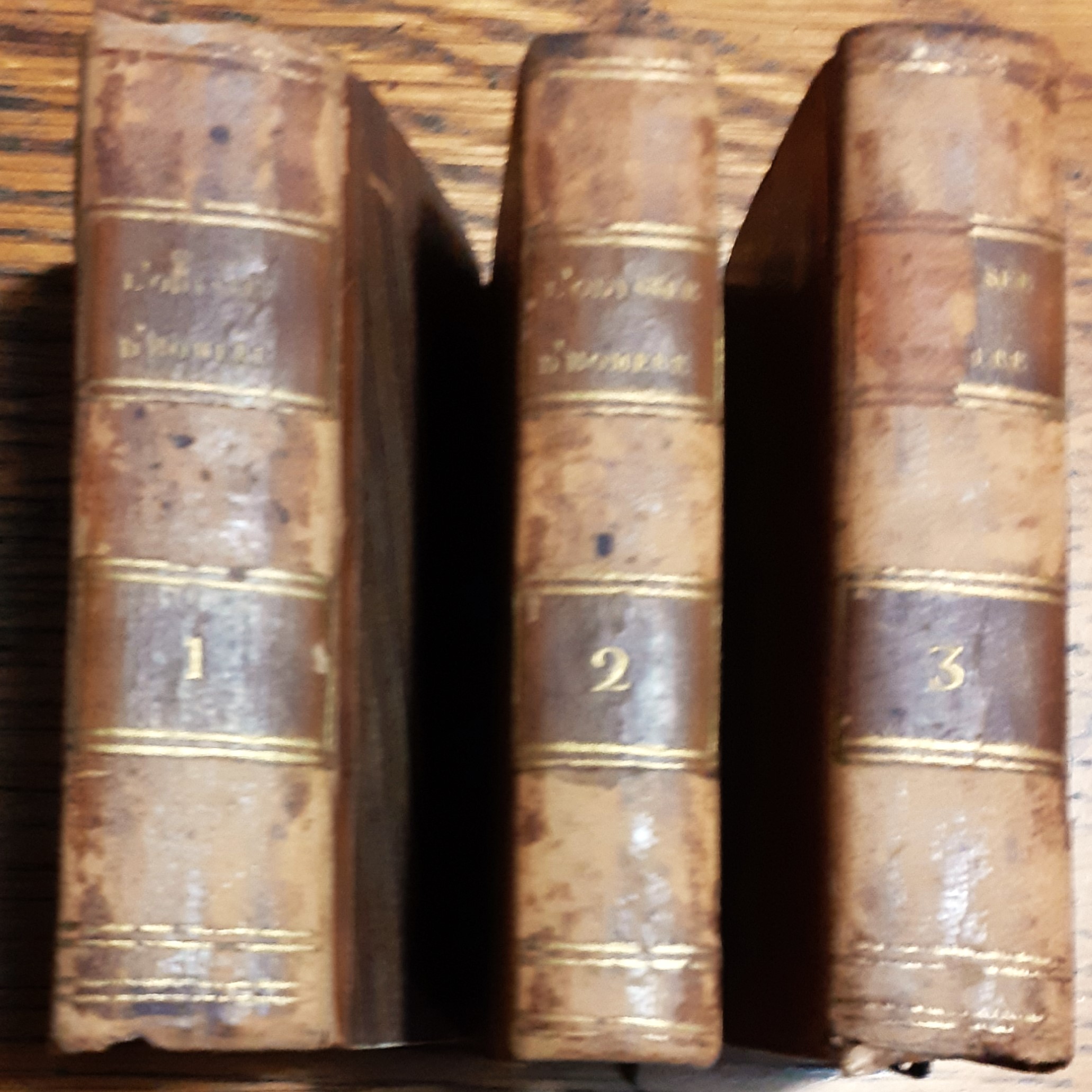 L'Odyssée d'Homère (3 tomi)