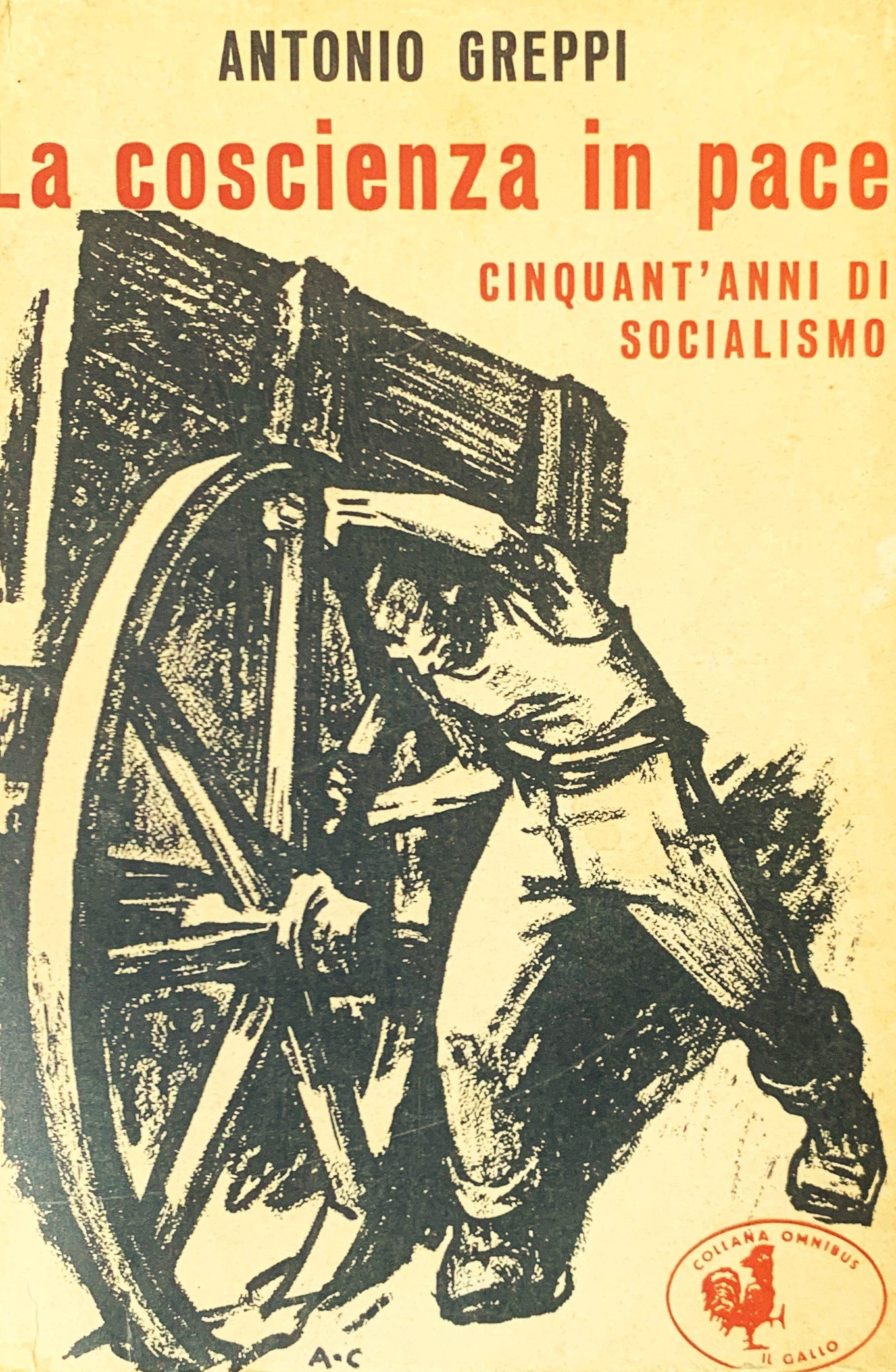 La coscienza in pace. Cinquant'anni di socialismo