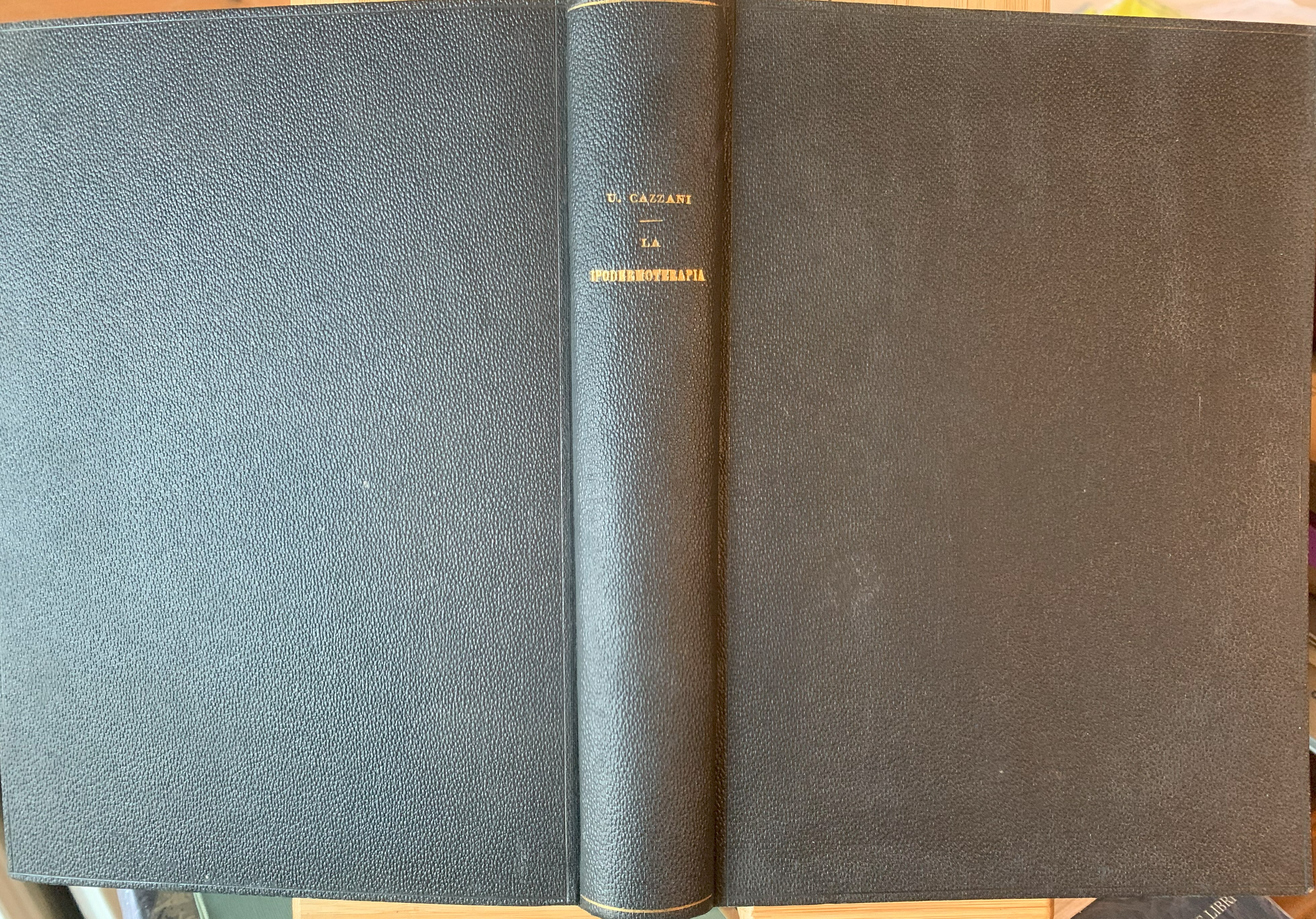 La ipodermoterapia nella tecnica farmaceutica e nella pratica medica