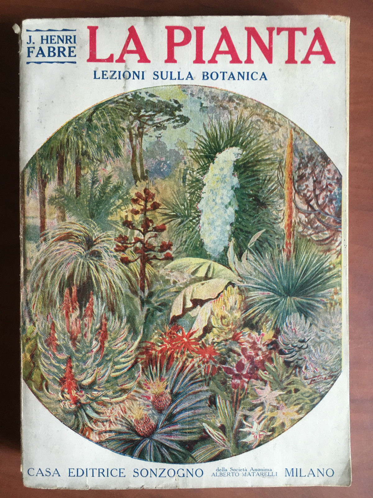 La pianta lezioni sulla botanica Sonzogno Edizioni 1928 - E20253
