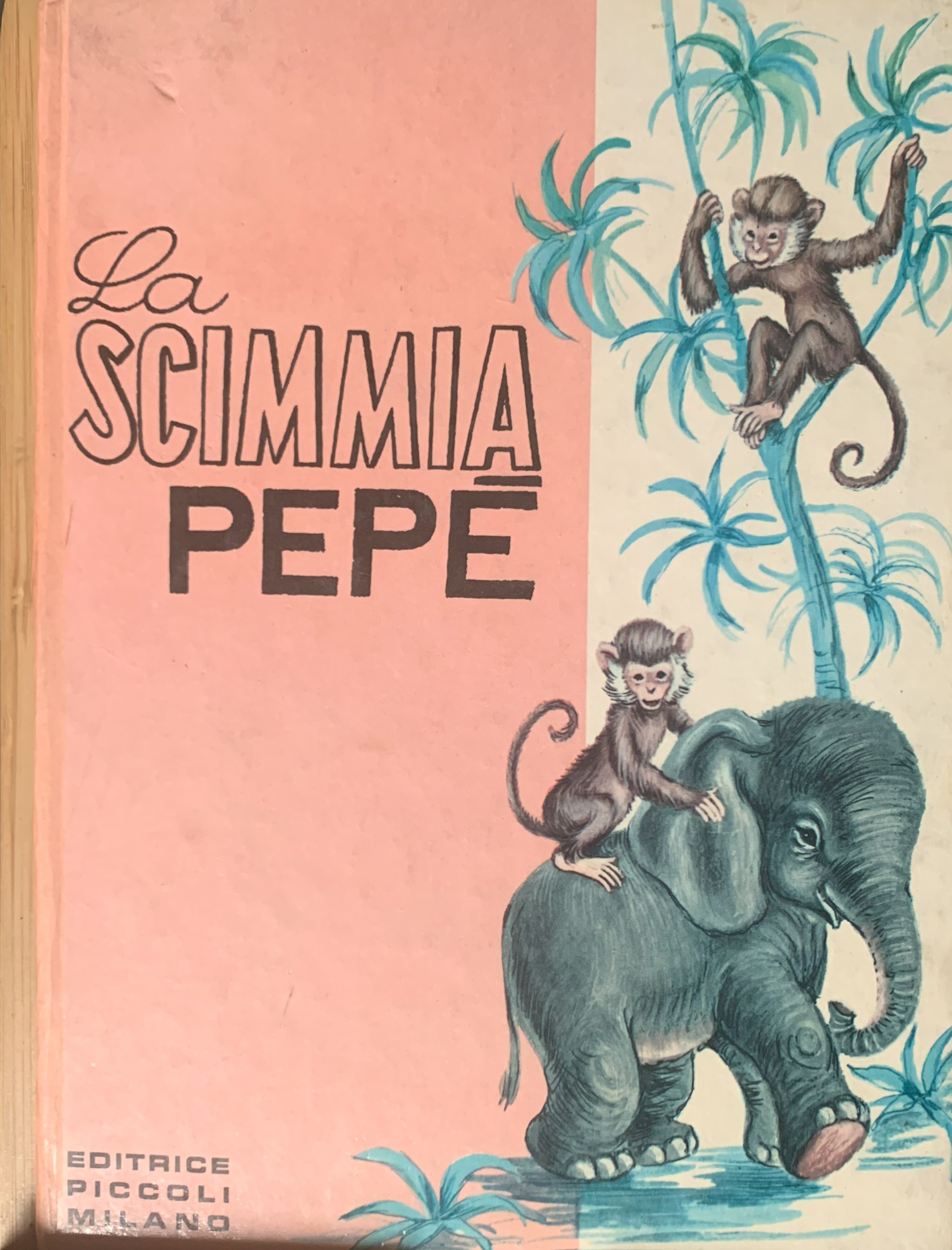 La scimmia Pepè