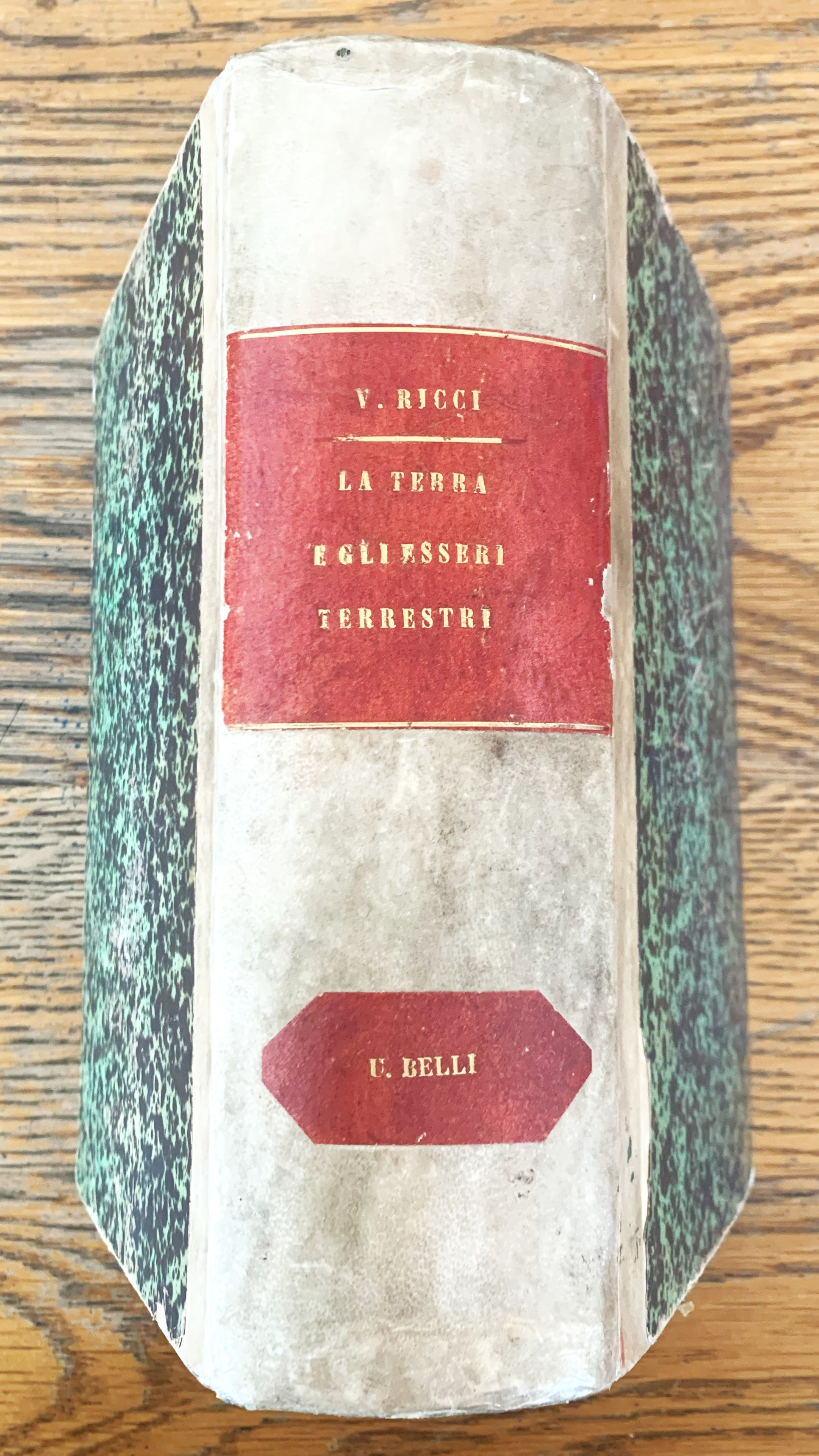 La Terra e gli Esseri terrestri