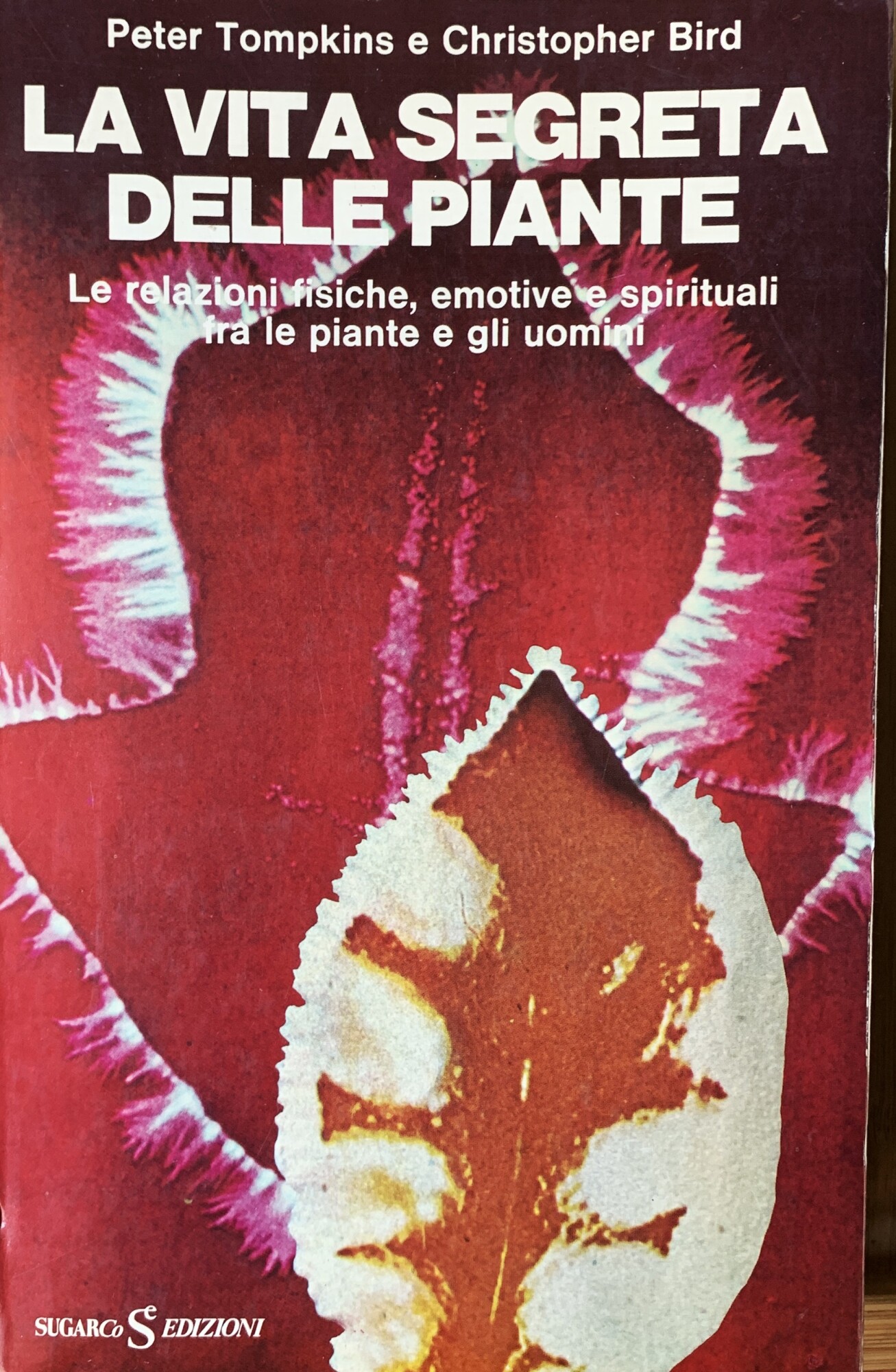 La vita segreta delle piante