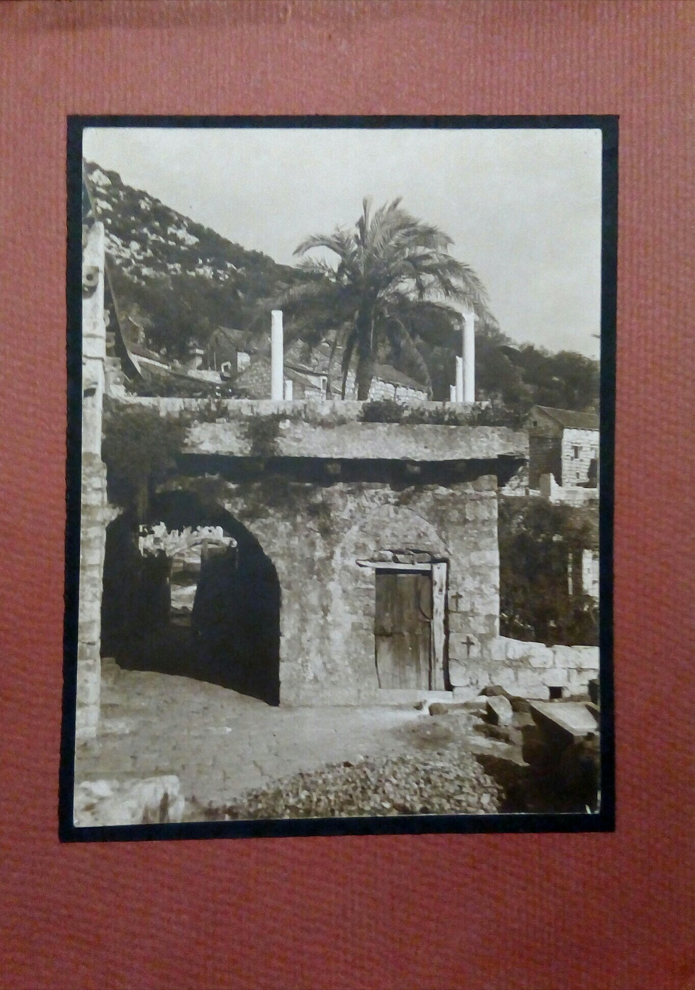 Lagosta Fotografia originale anni '20