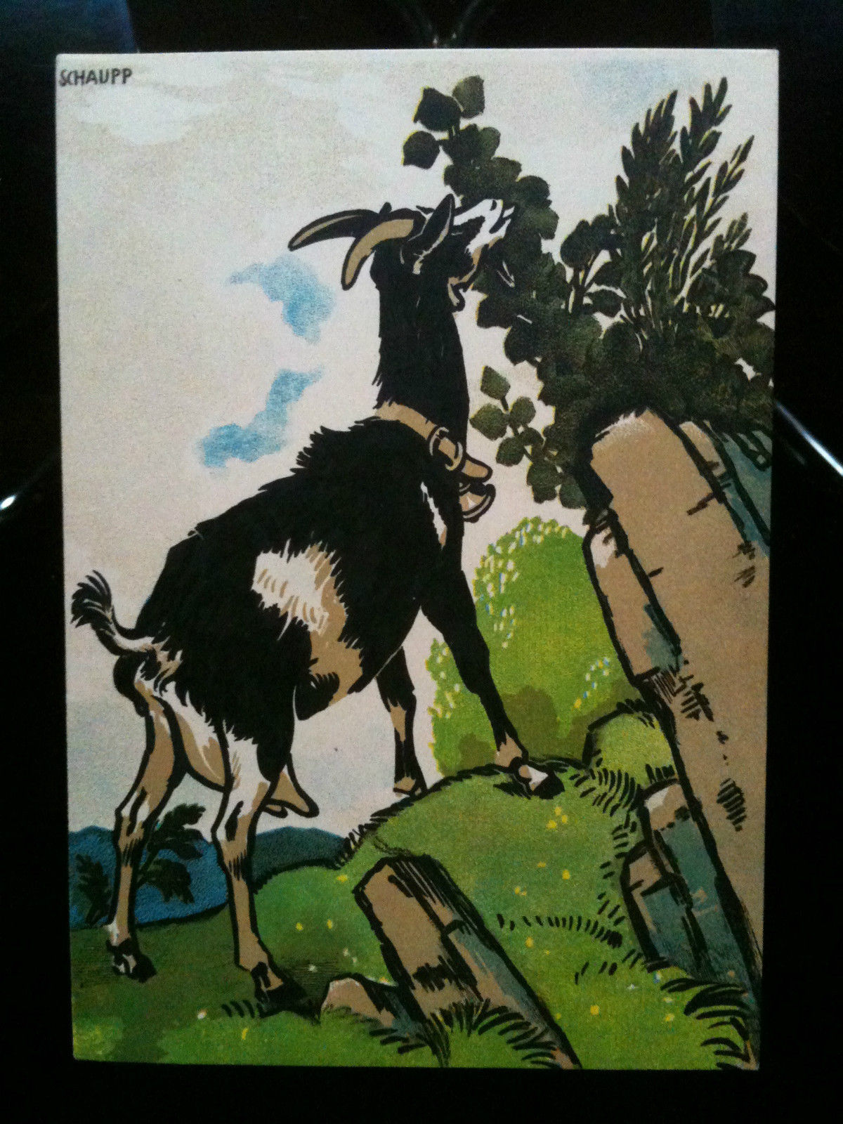 Mono n^ 4 Chromolitohgraphie "Ziege" originalzeichnung Rich. Schaupp 1906