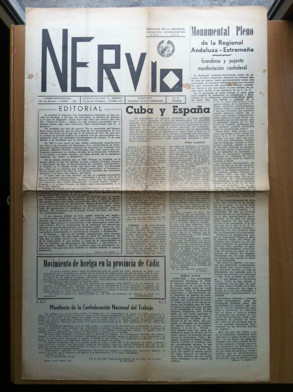 Nervio n^ 9 Marzo - E19812