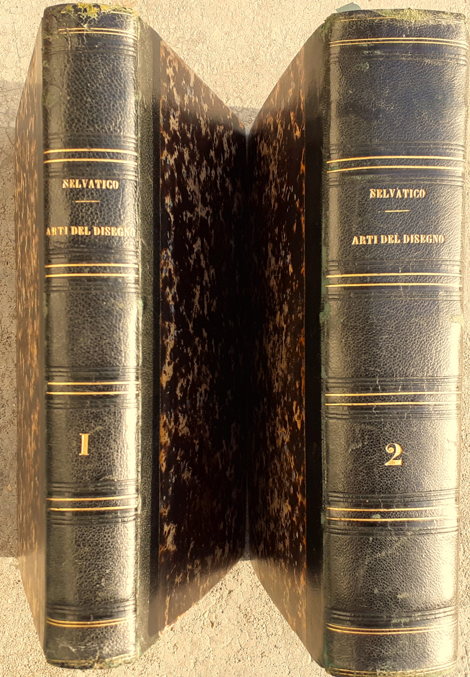 P. Selvatico Storia estetico-critica delle Arti del Disegno-Due volumi 1852/1856