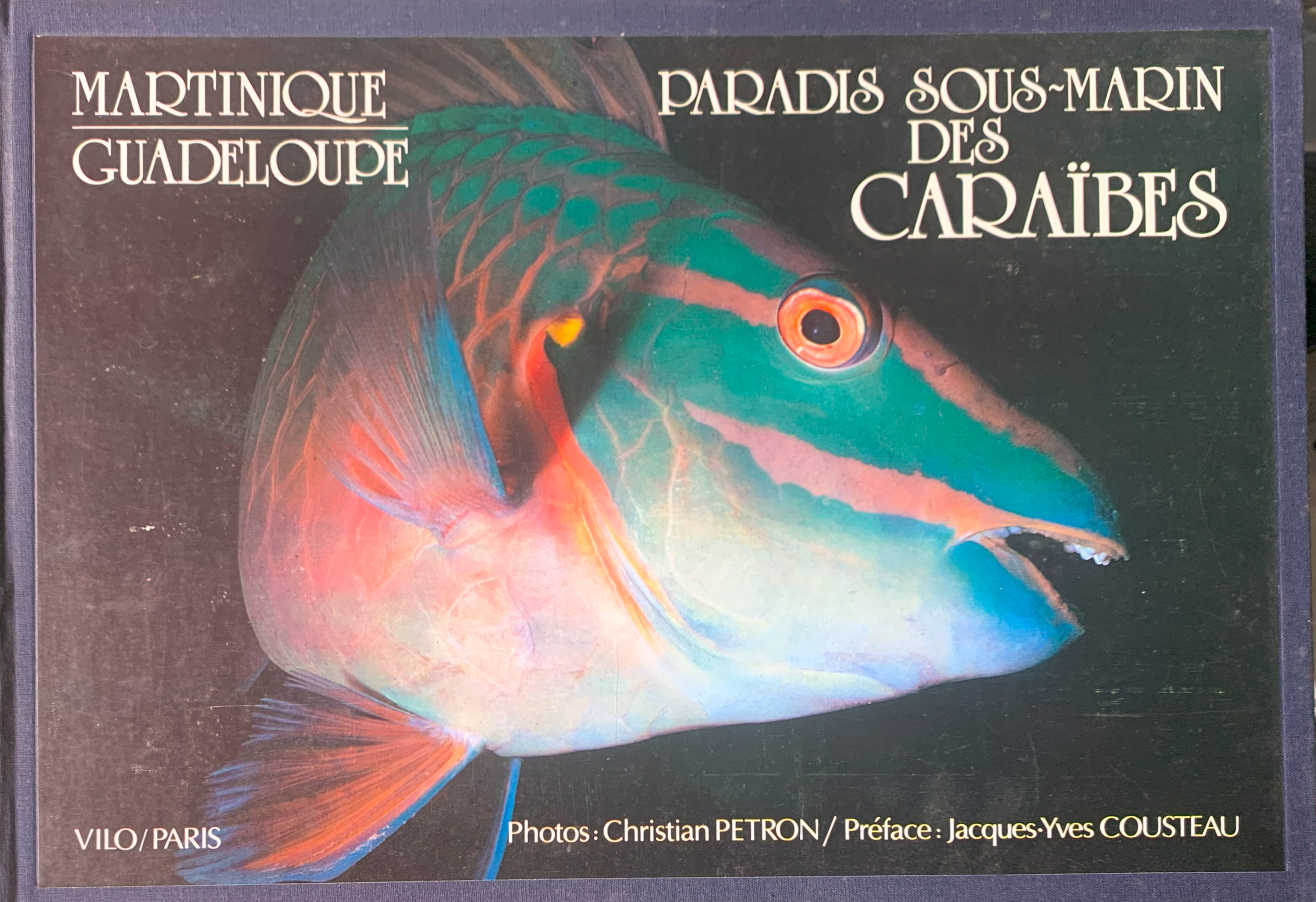 Paradis Sous-Marin des Caraibes