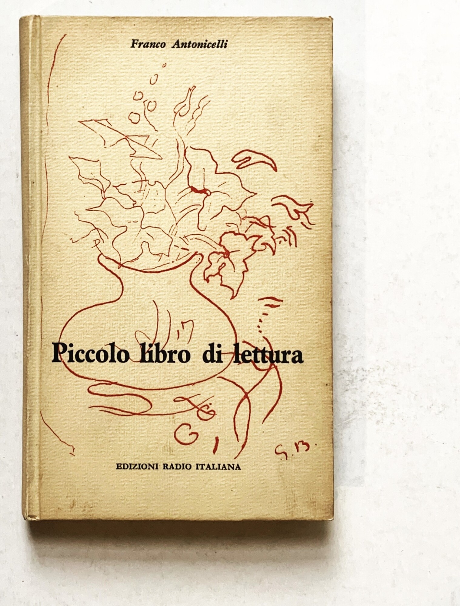Piccolo libro di lettura