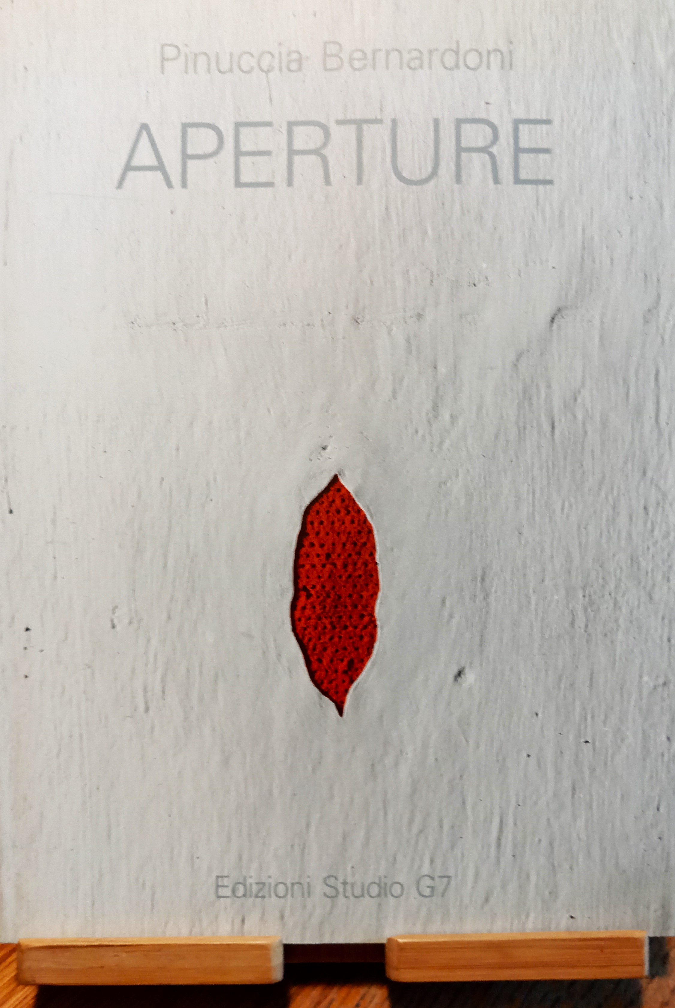 Pinuccia Bernardoni. Aperture