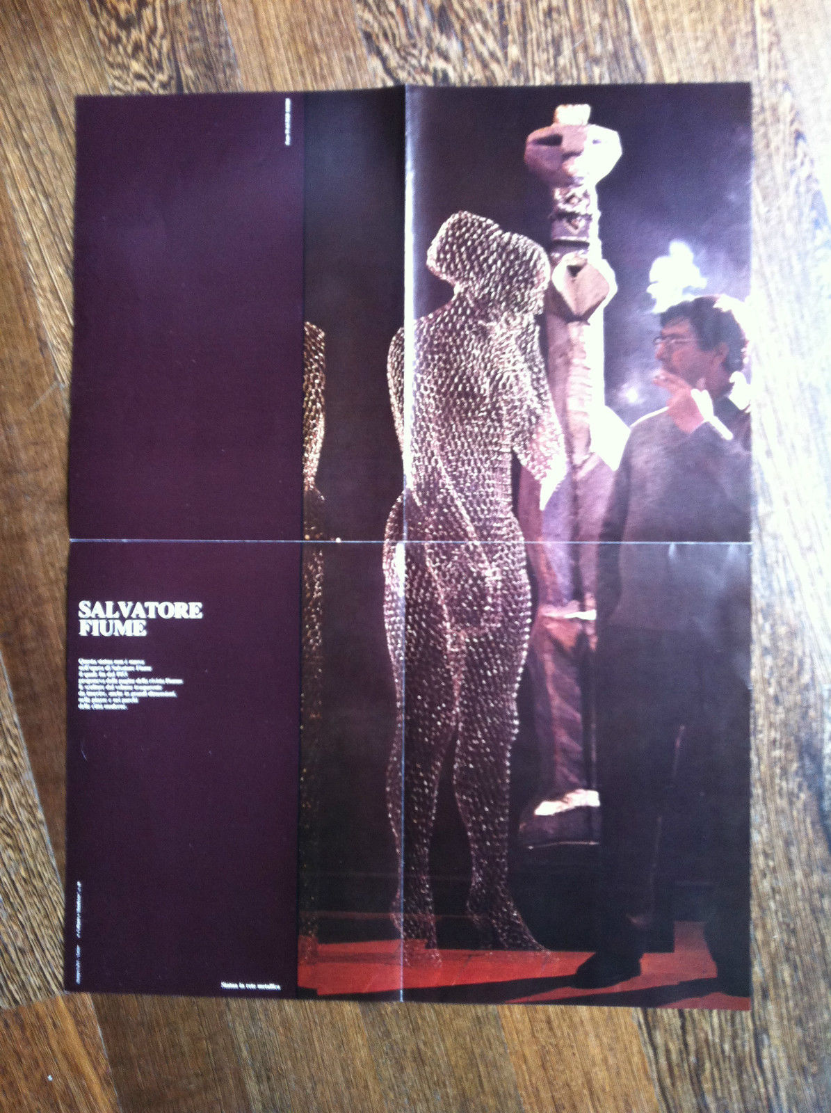 Poster di statua in rete metallica di Salvatore Fiume - …