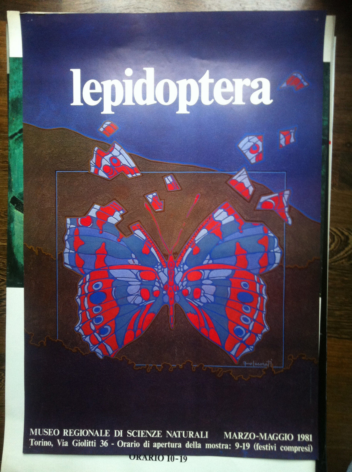 Poster Francesco Casorati Mostra Lepidoptera Museo Scienze Nat Torino 1981 …