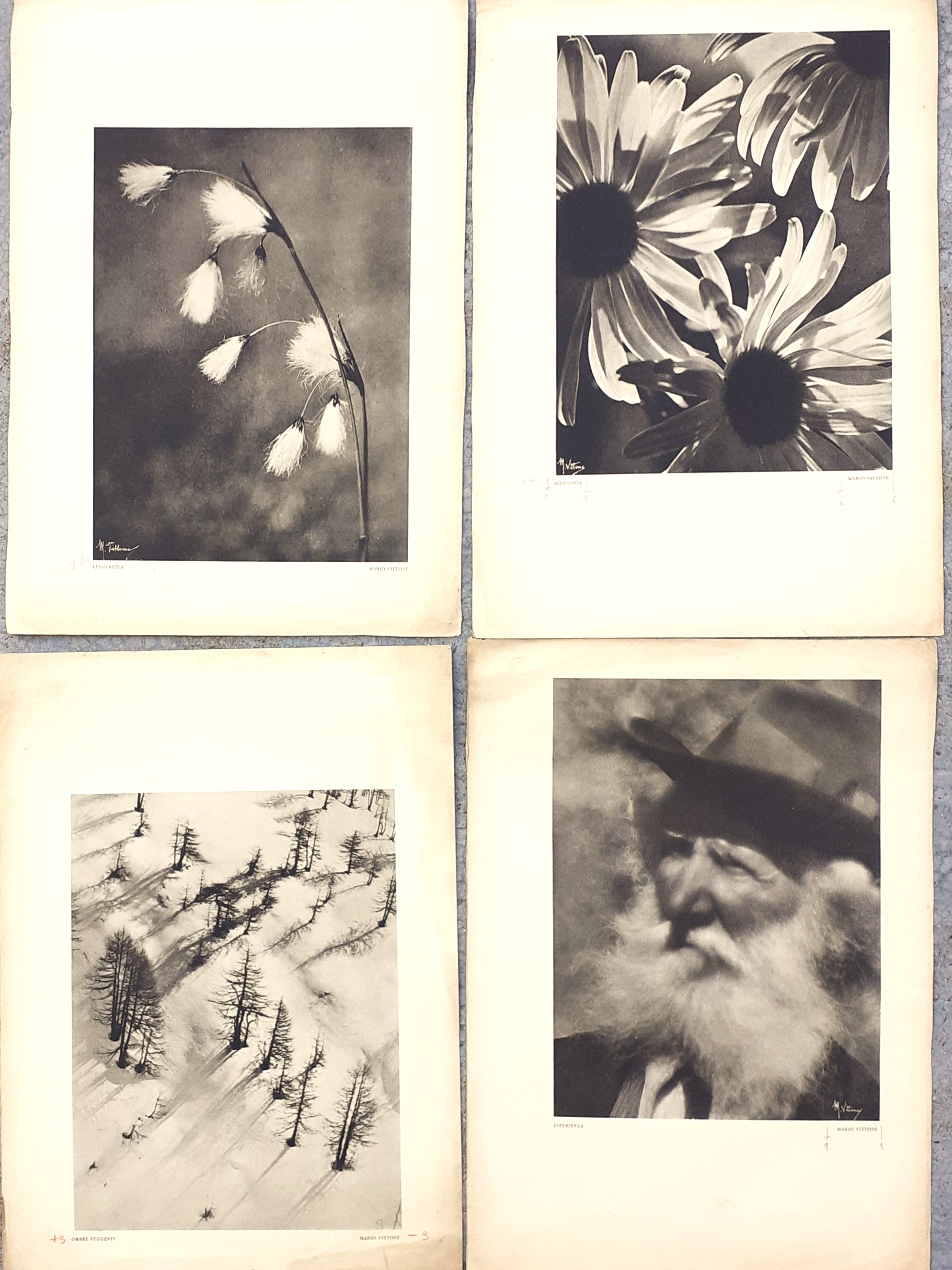 Quattro Riproduzioni d'epoca di fotografie di Mario Vittone 1930 ca,