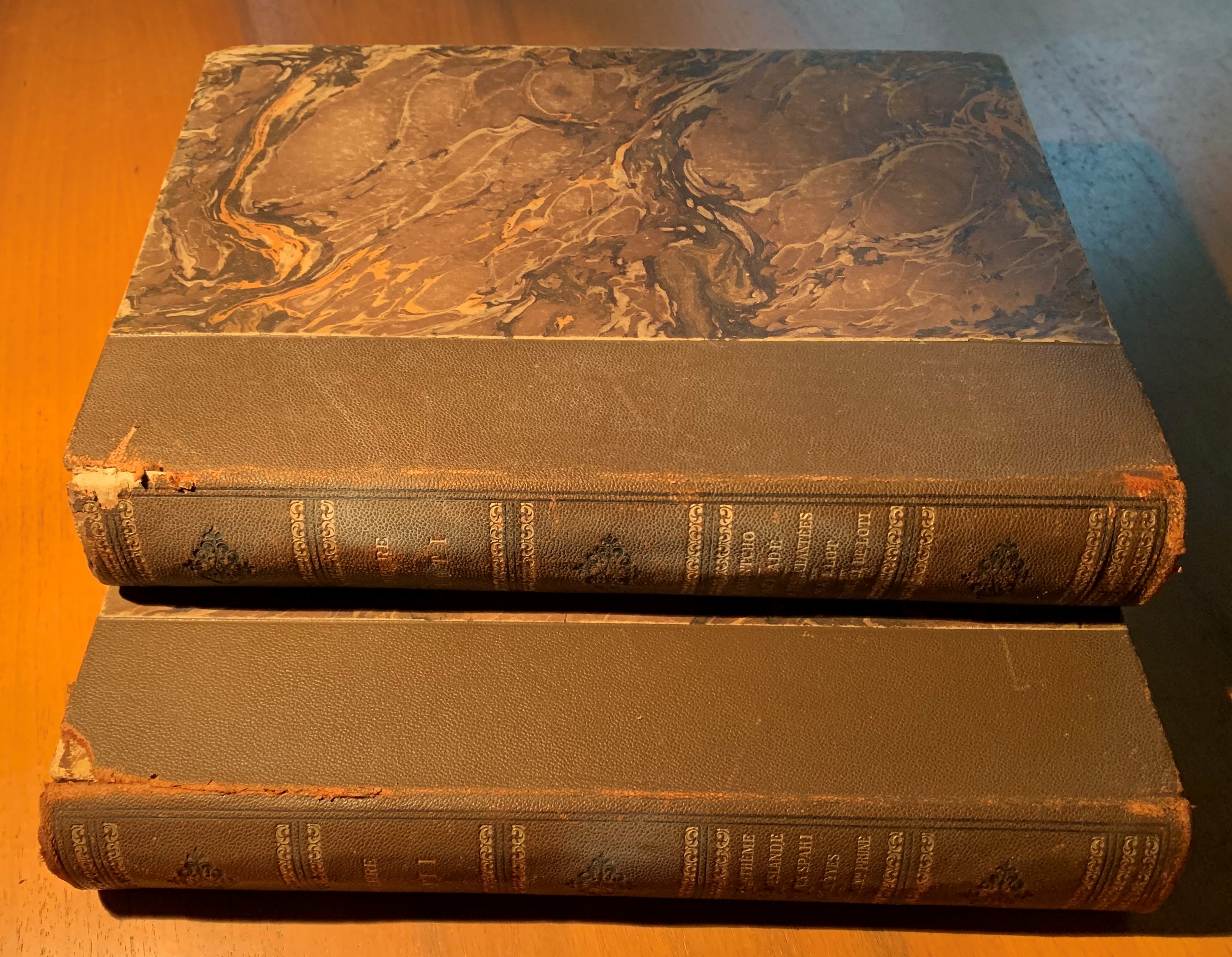 Romans completes illustrés de Pierre Loti de l'Académie française. Vol. …