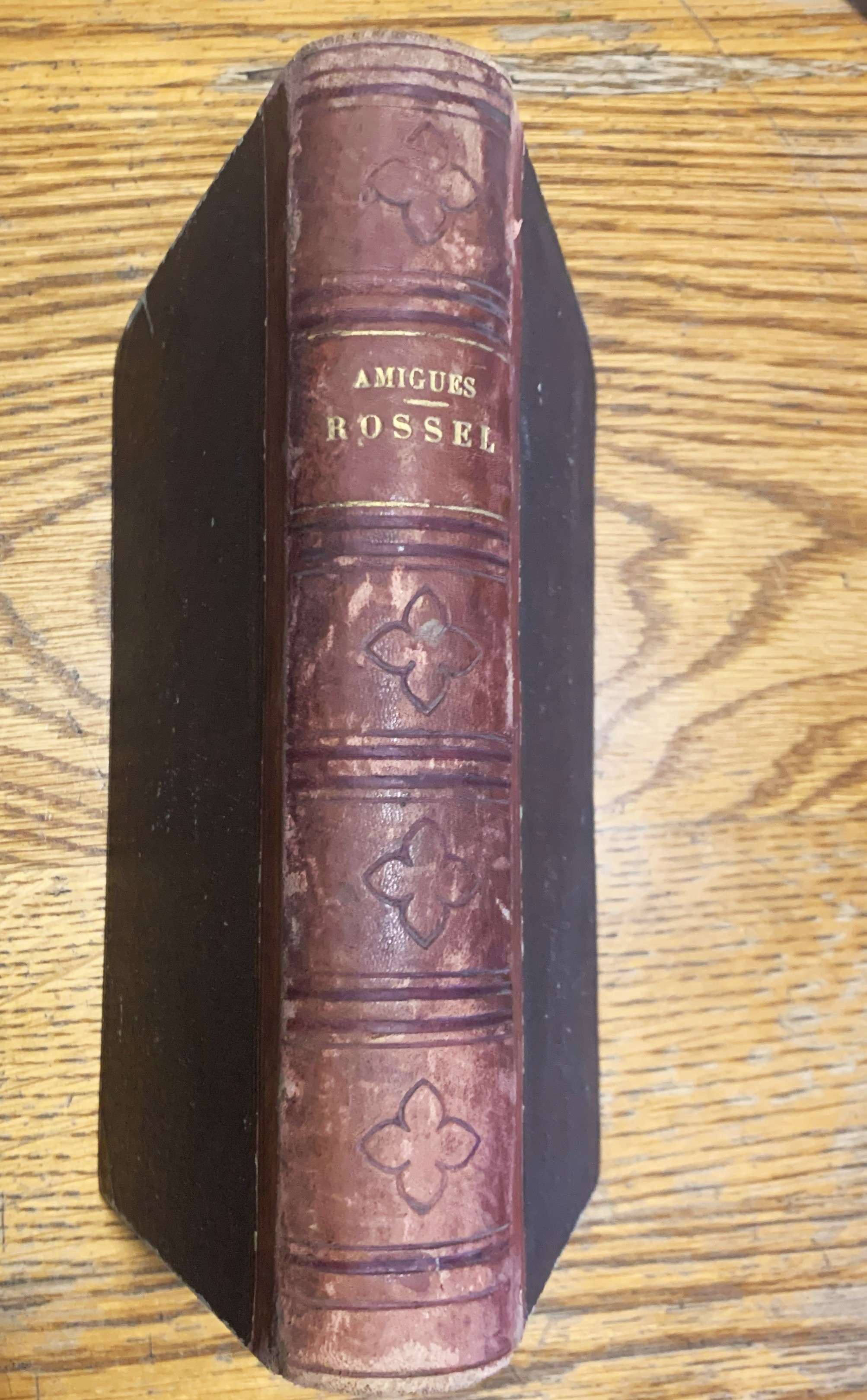Rossel. Papiers posthumes recuillis et annotés par Jules Amigues